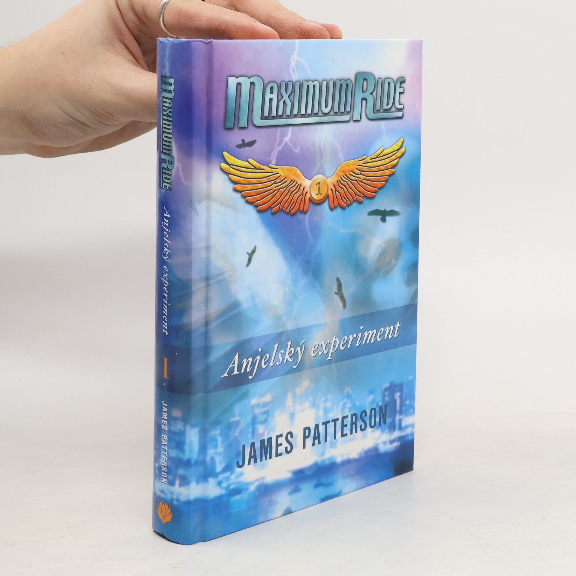 James Patterson Anjelský experiment