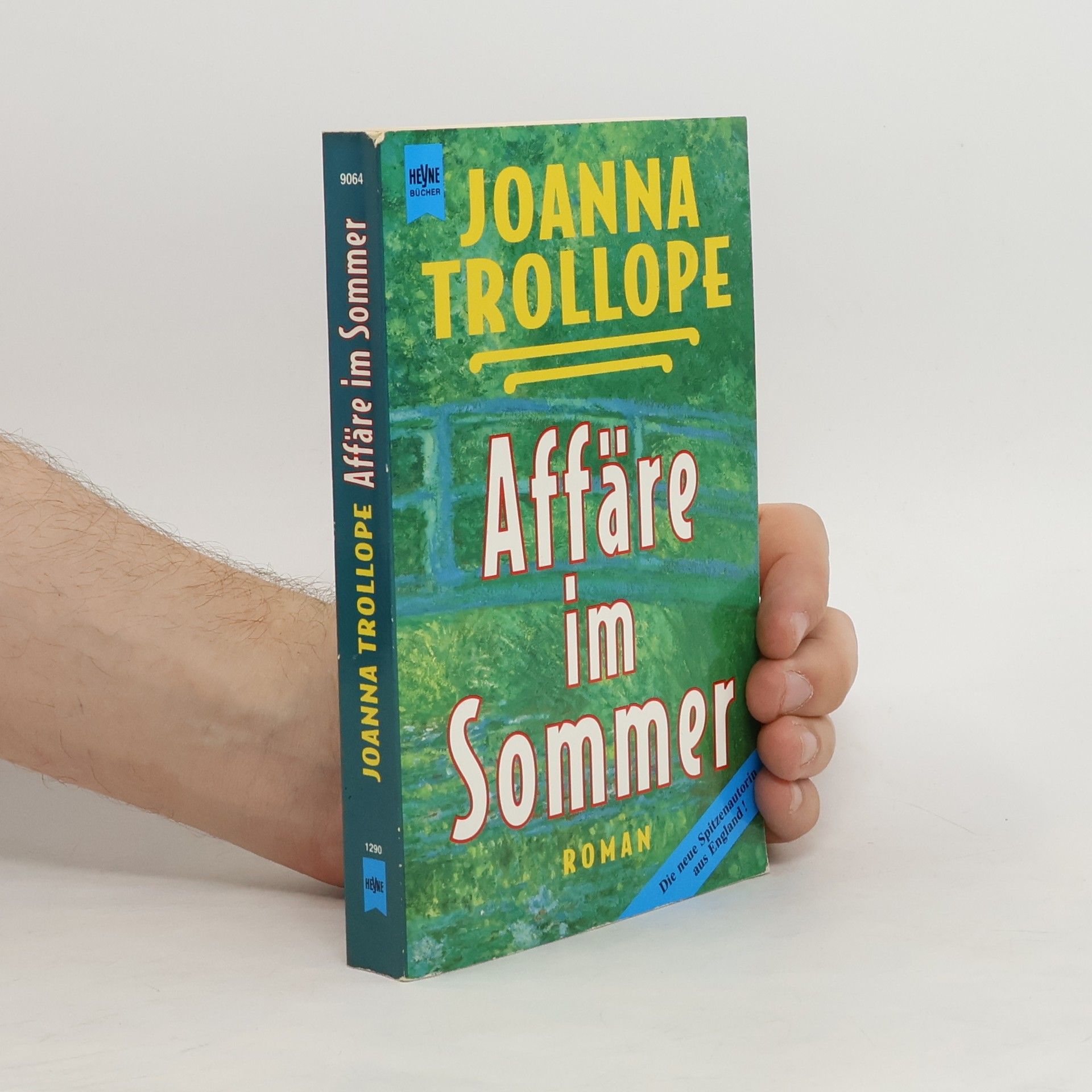 Joanna Trollope Affäre im Sommer