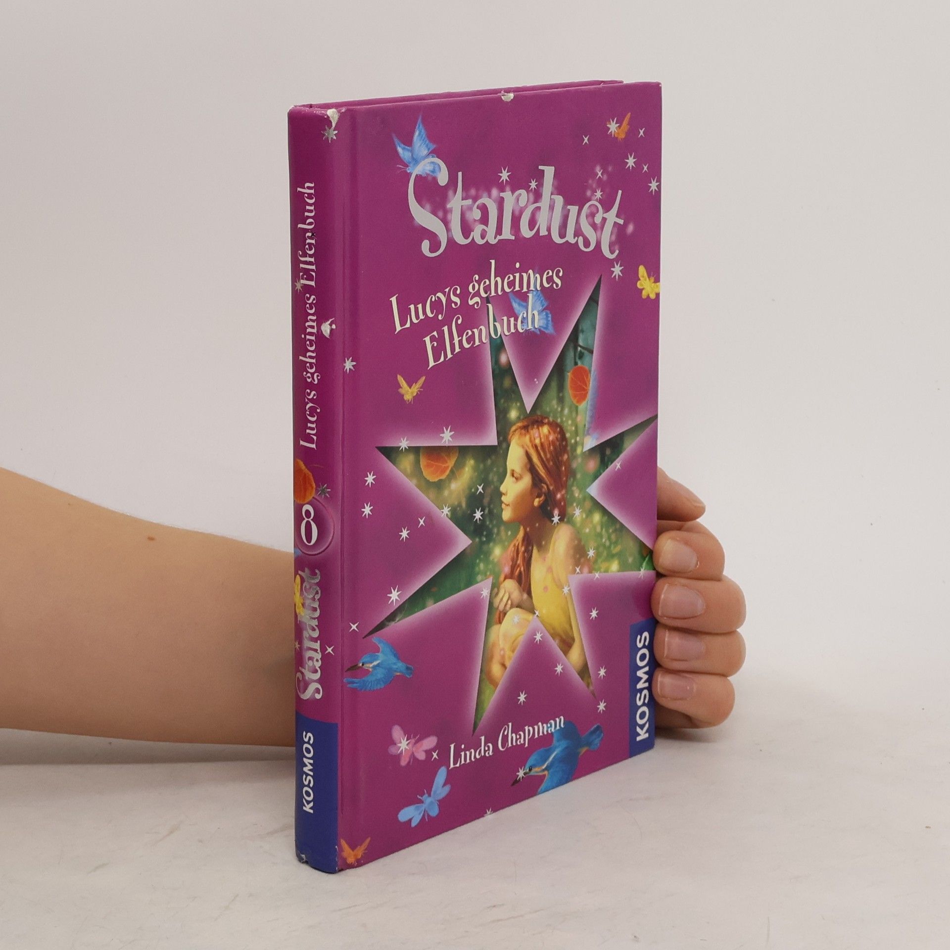 Linda Chapman Stardust 8