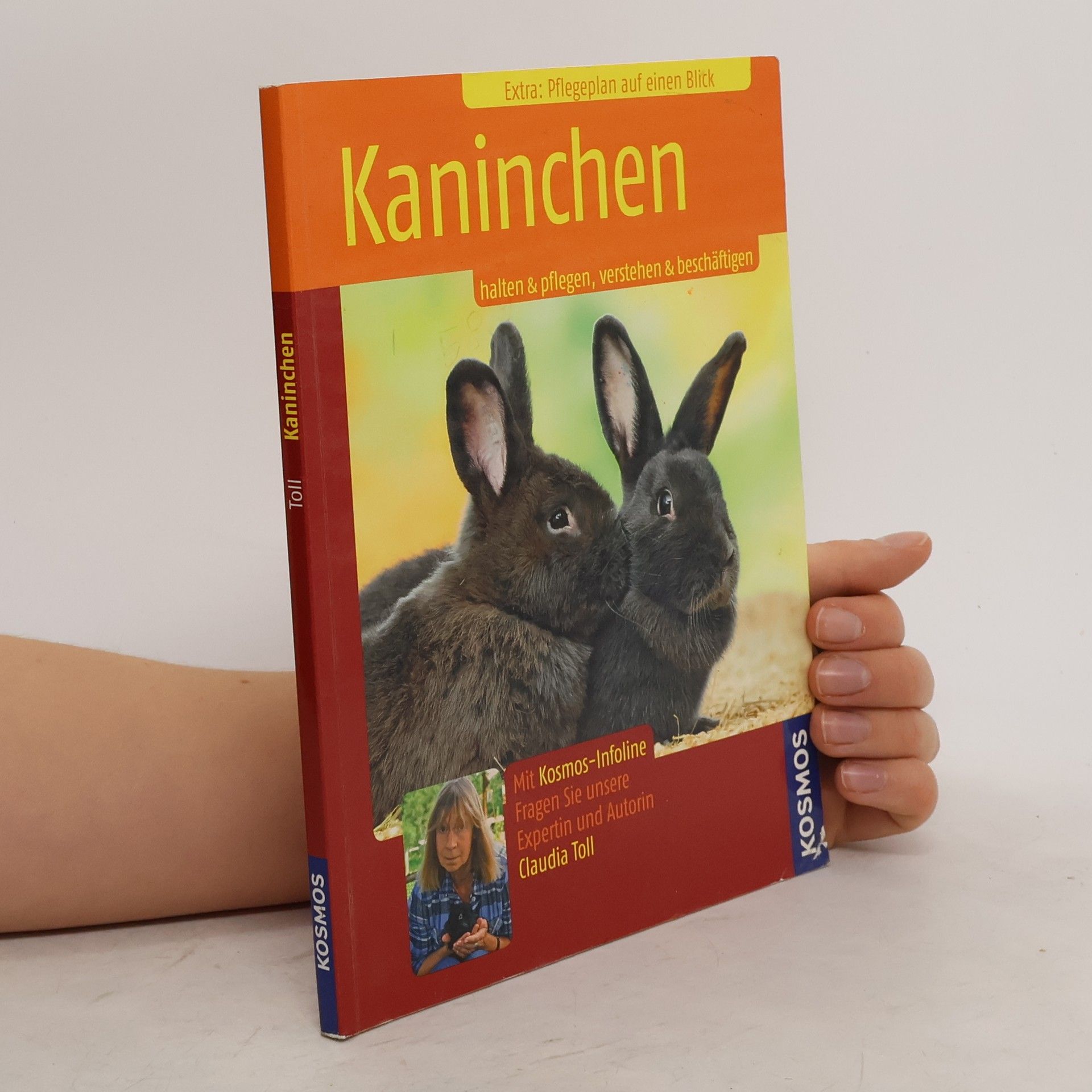 Claudia Toll Kaninchen