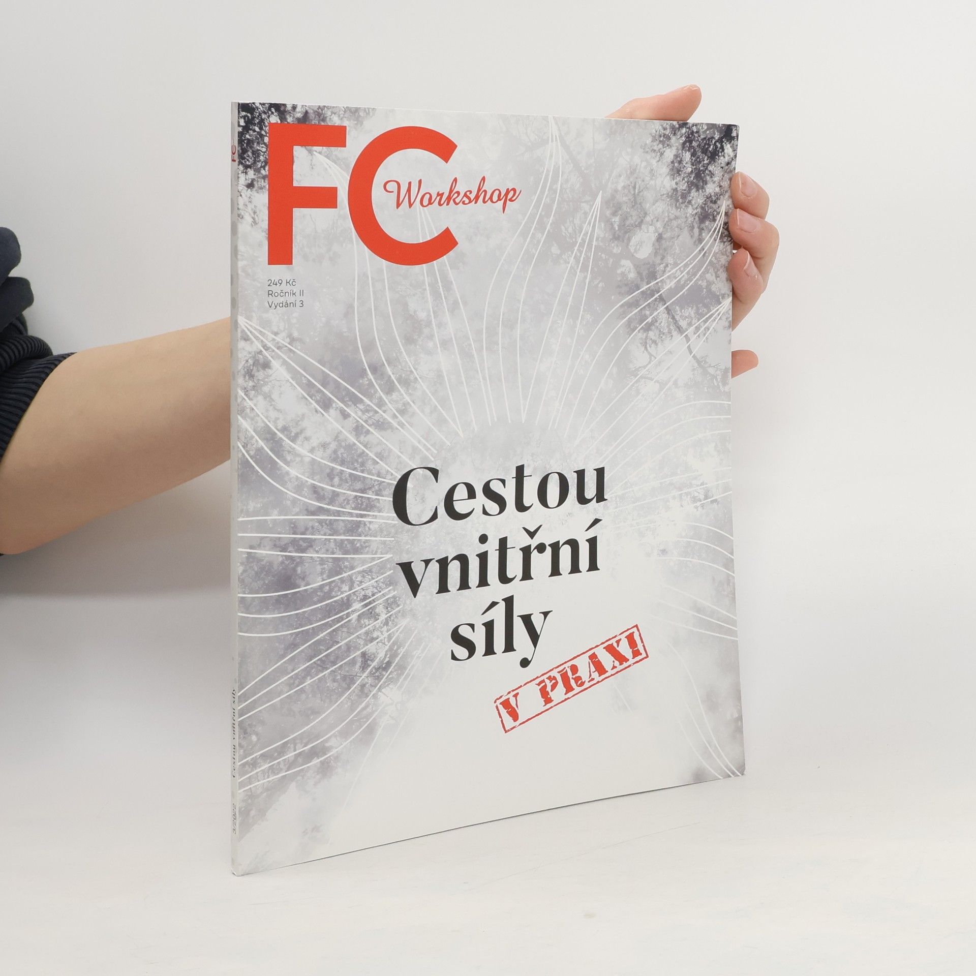 kolektiv FC Workshop. Cestou vnitřní síly.