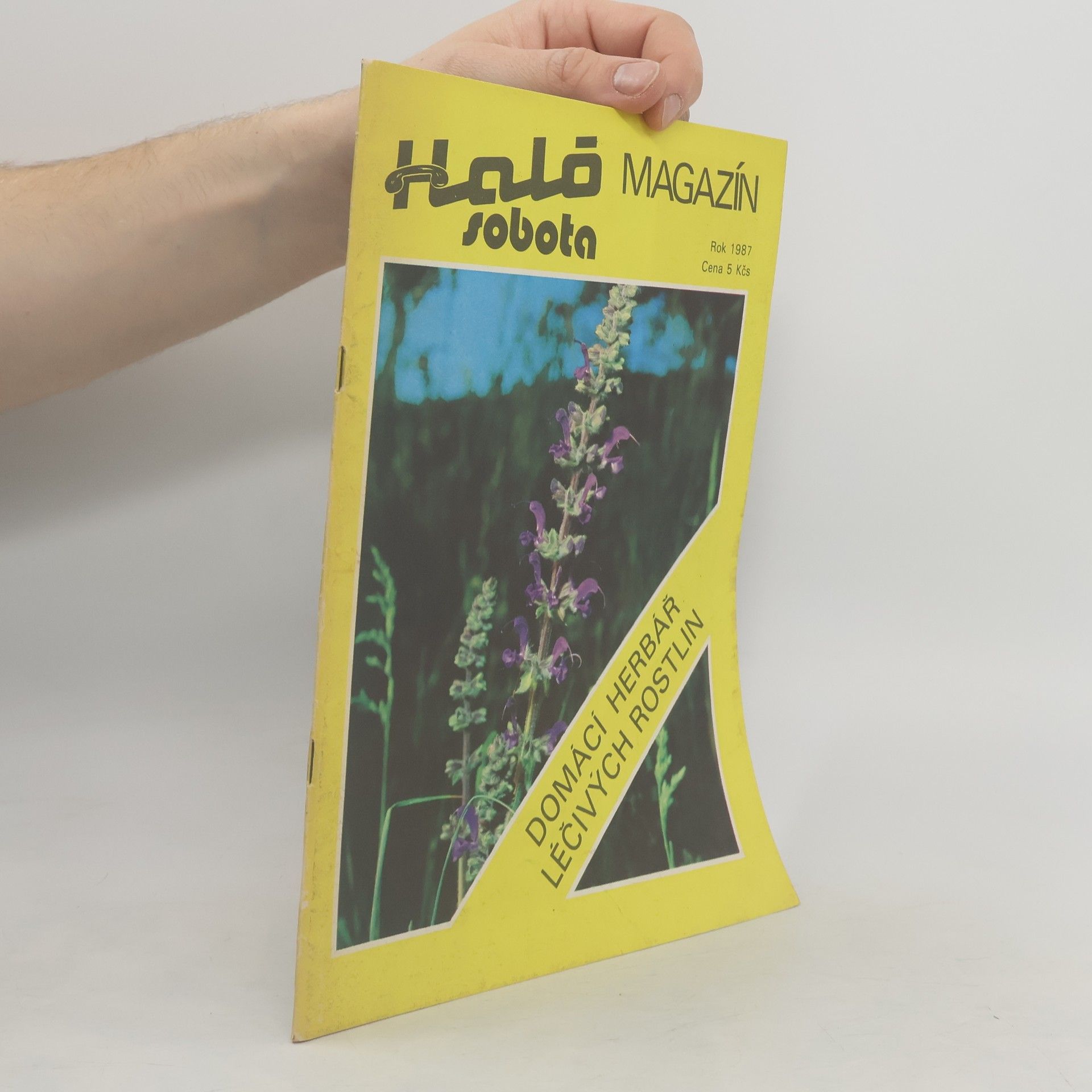 Autorenkollektiv Magazín Haló sobota 1987