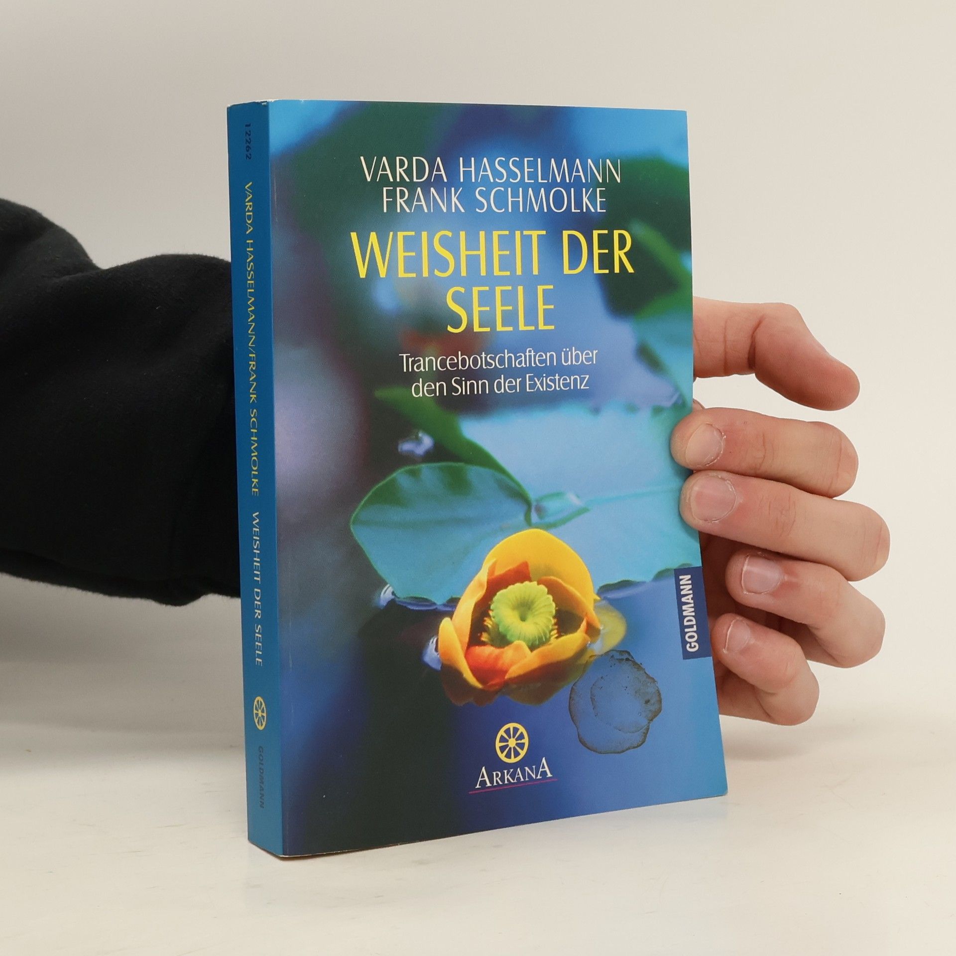 Varda Hasselmann Durchsagen aus der kausalen Welt 3