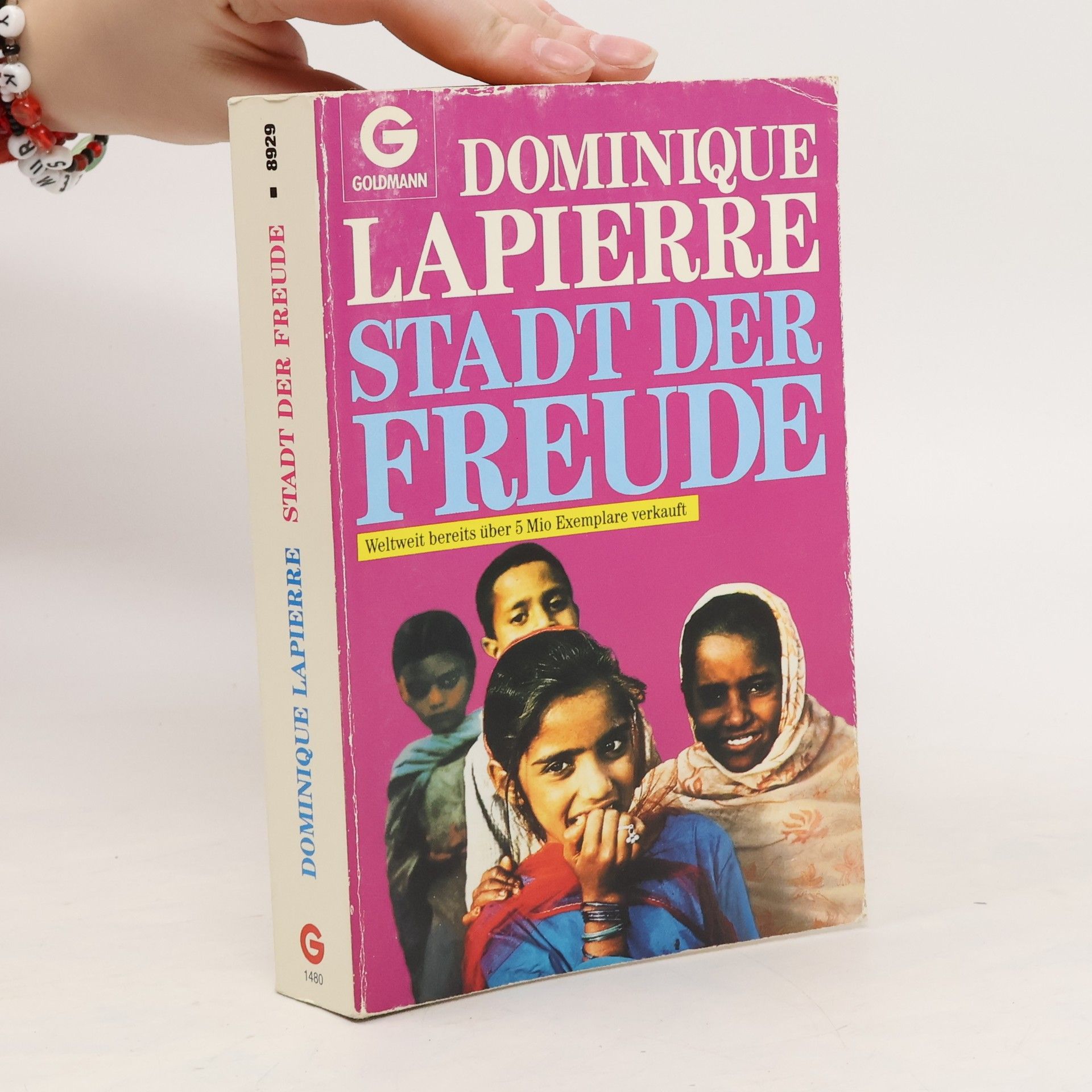 Dominique Lapierre Stadt der Freude