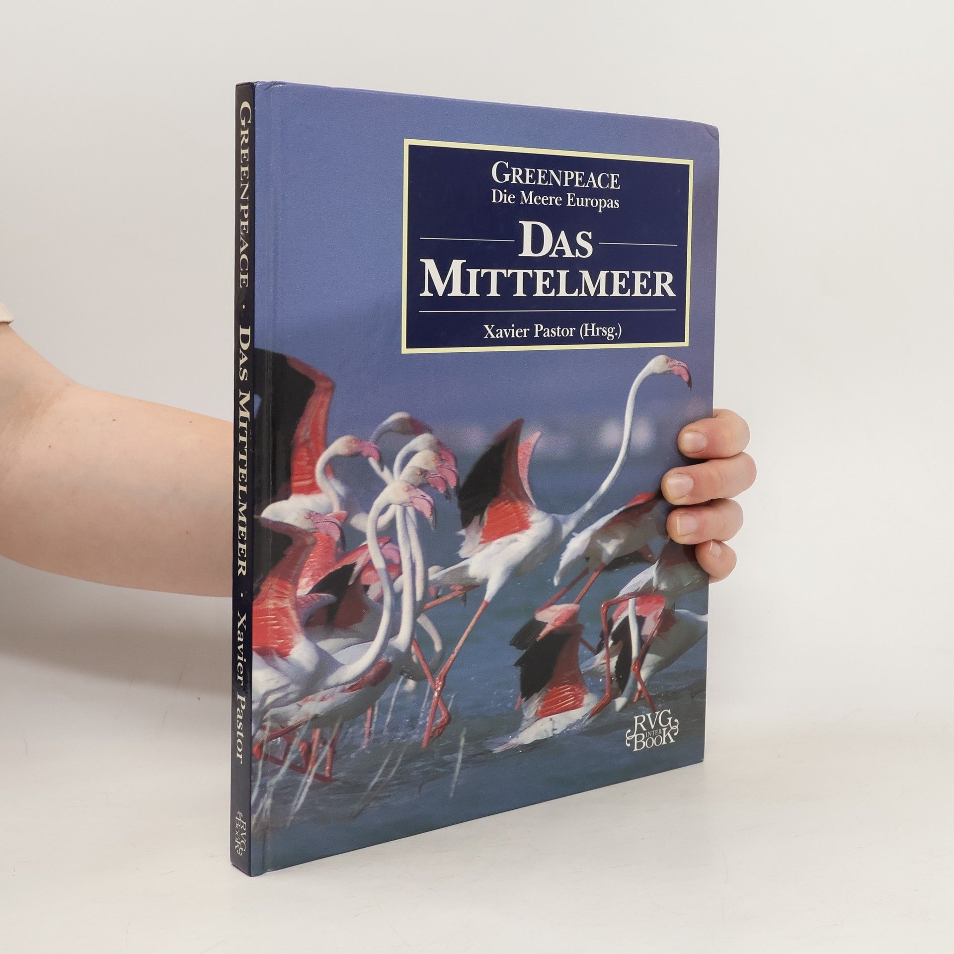 Xavier Pastor Das Mittelmeer