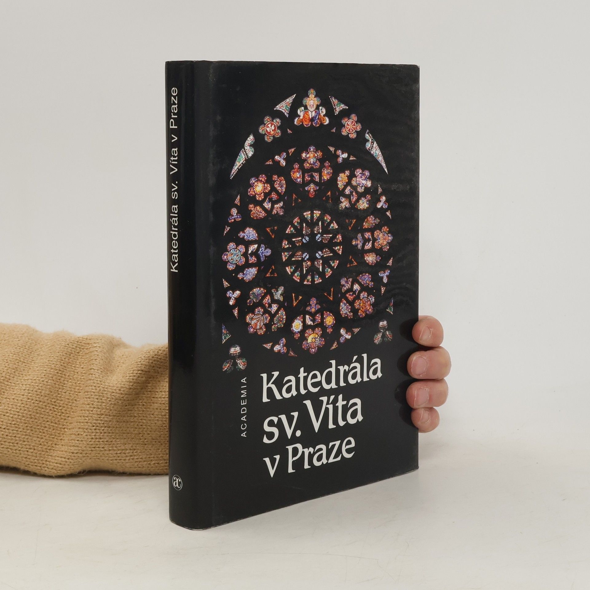 Prokop Paul Katedrála sv. Víta v Praze. K 650. výročí založení