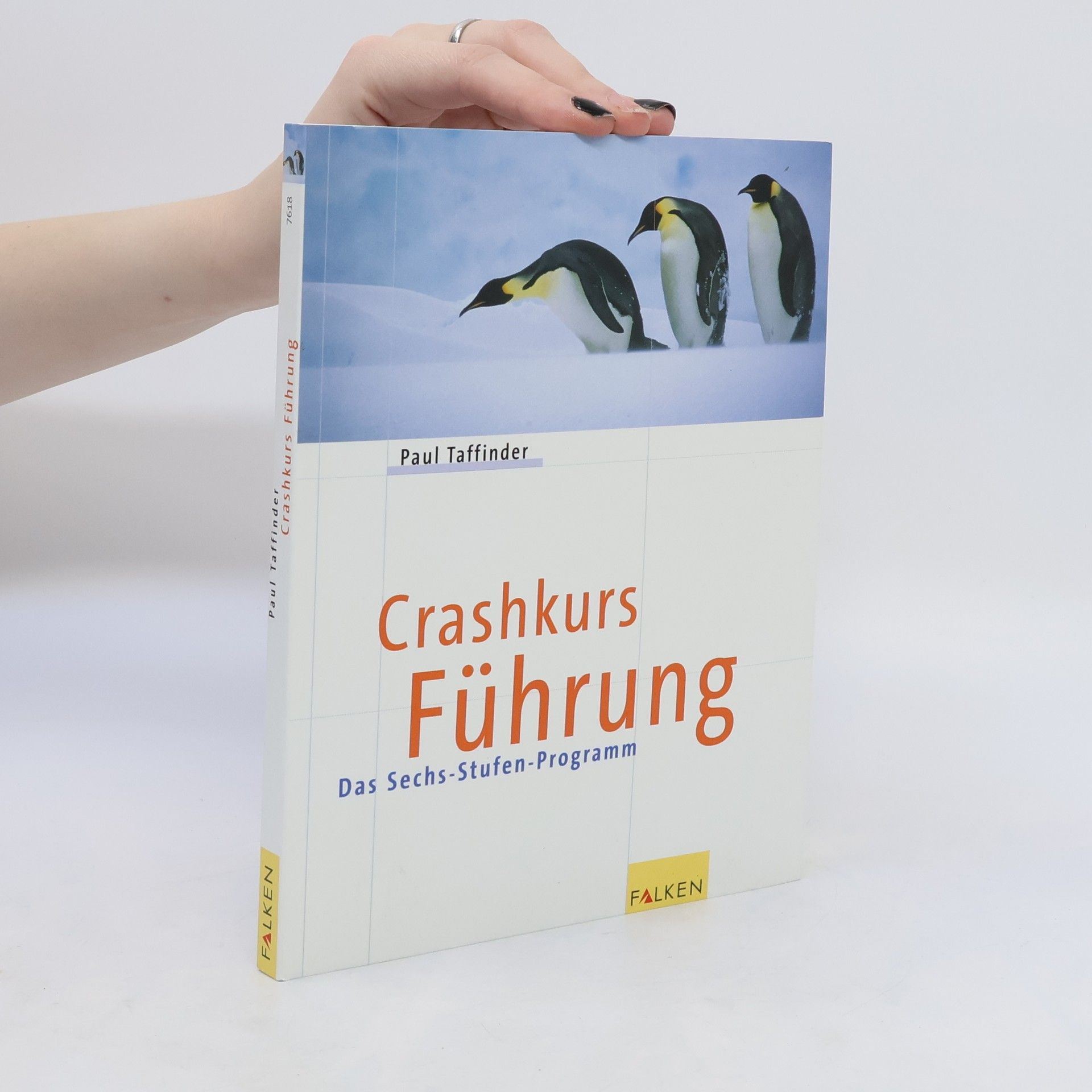 Paul Taffinder Crashkurs Führung