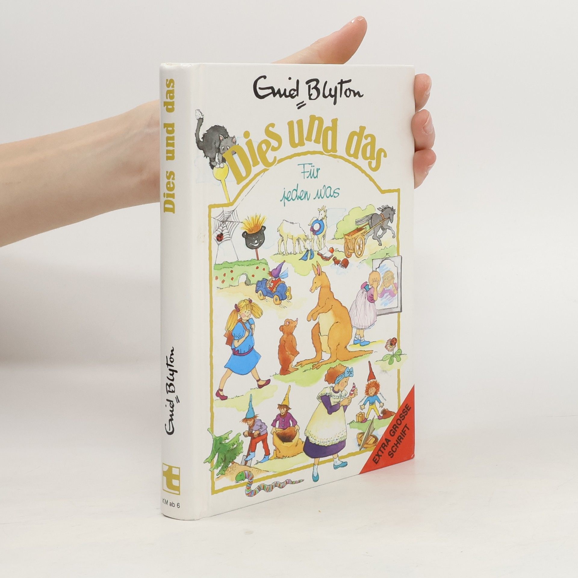 Autores varios Dies und das - Für jeden was - Extra große Schrift - Viele spannende Geschichten von Enid Blyton