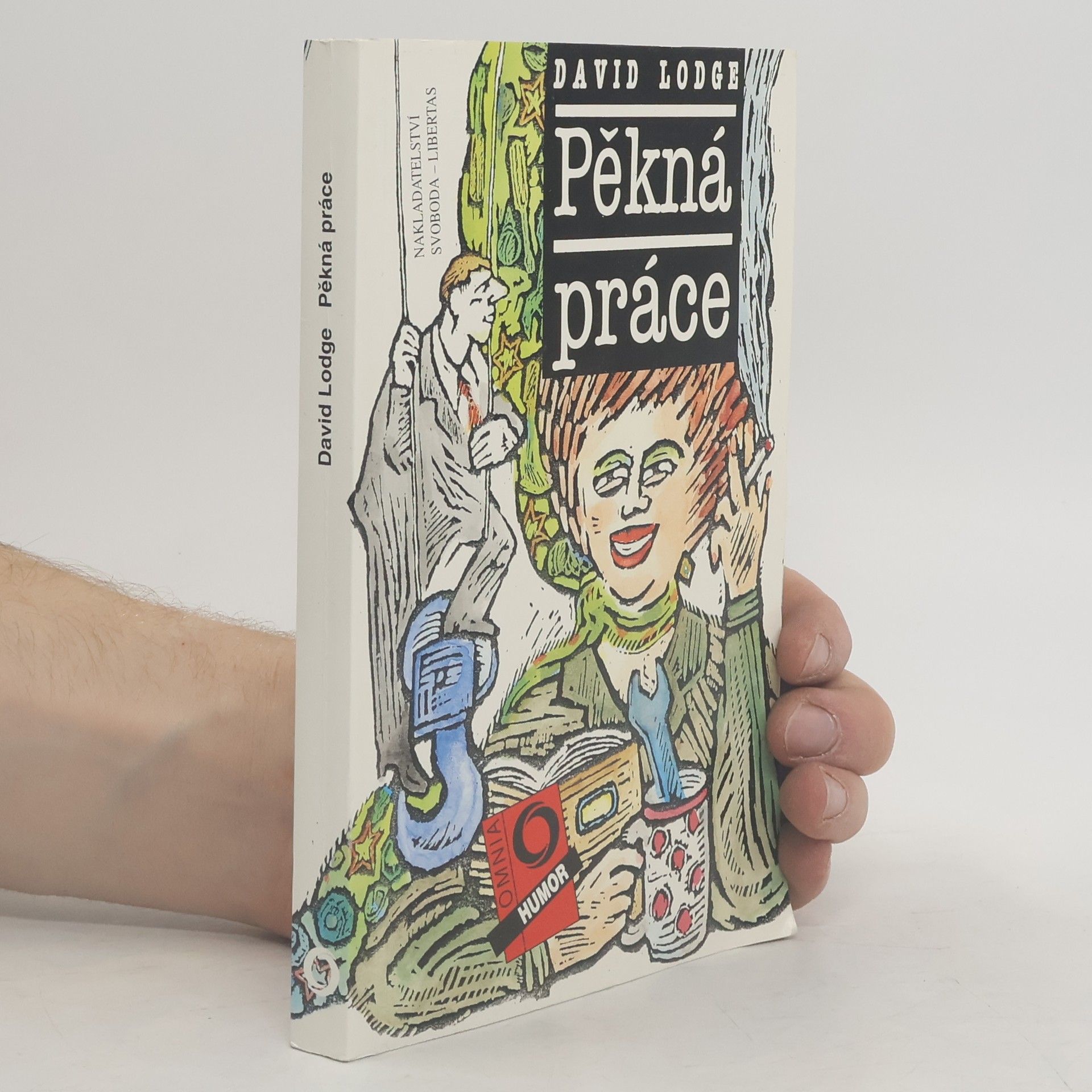 David Lodge Pěkná práce