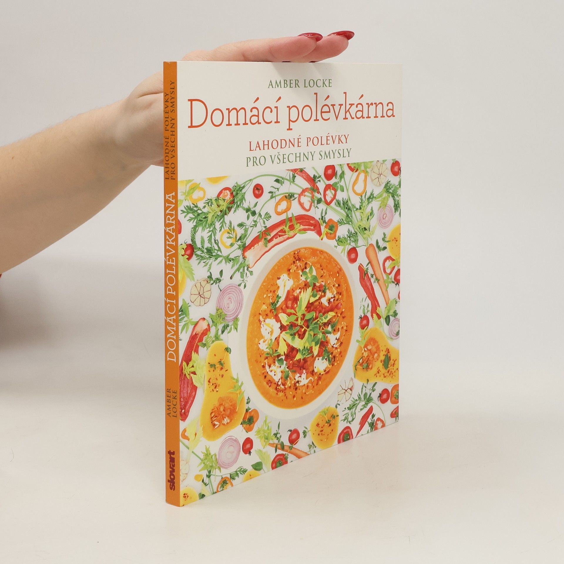 Amber Locke Domácí polévkárna - Lahodné polévky pro všechny smysly