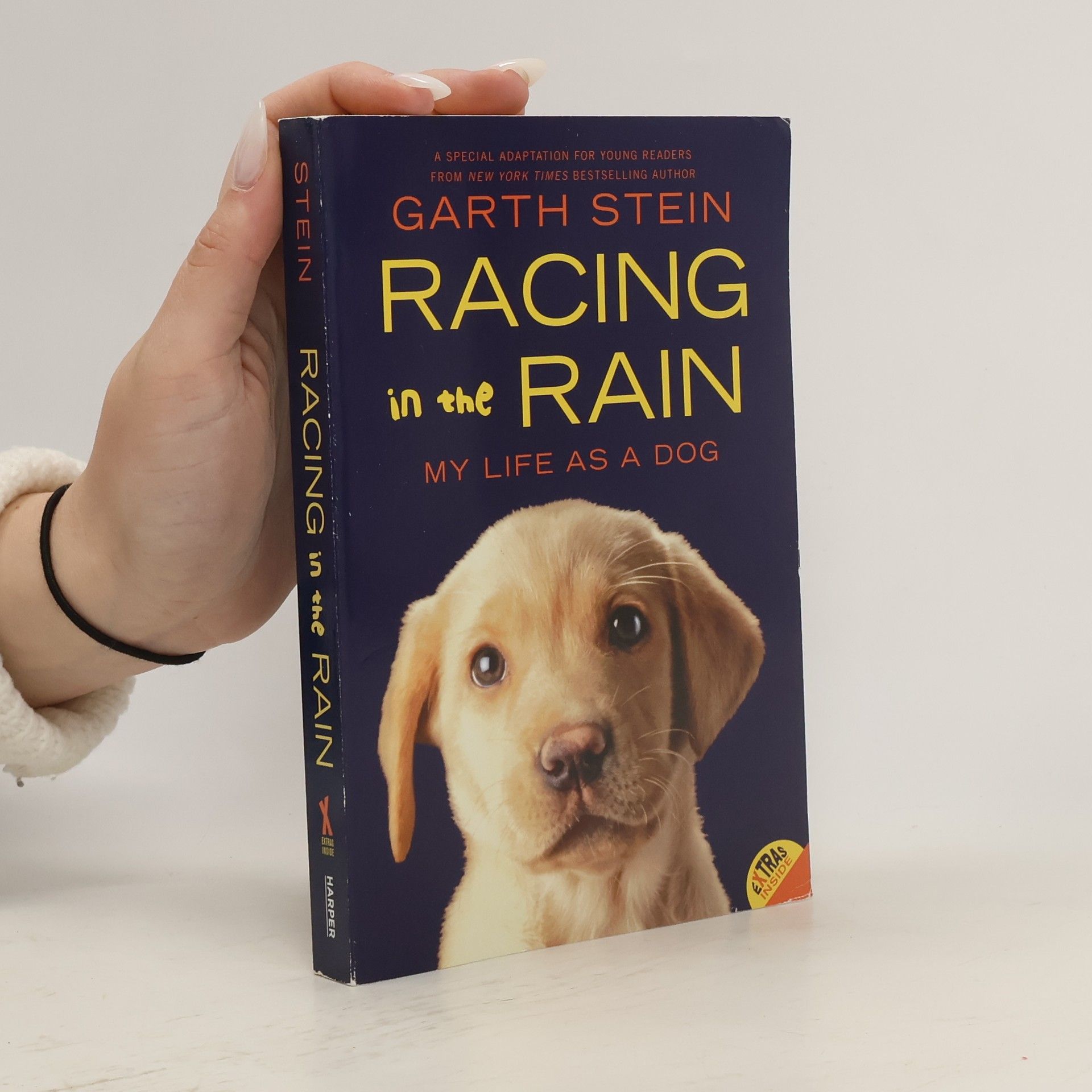 Garth Stein Racing in the Rain