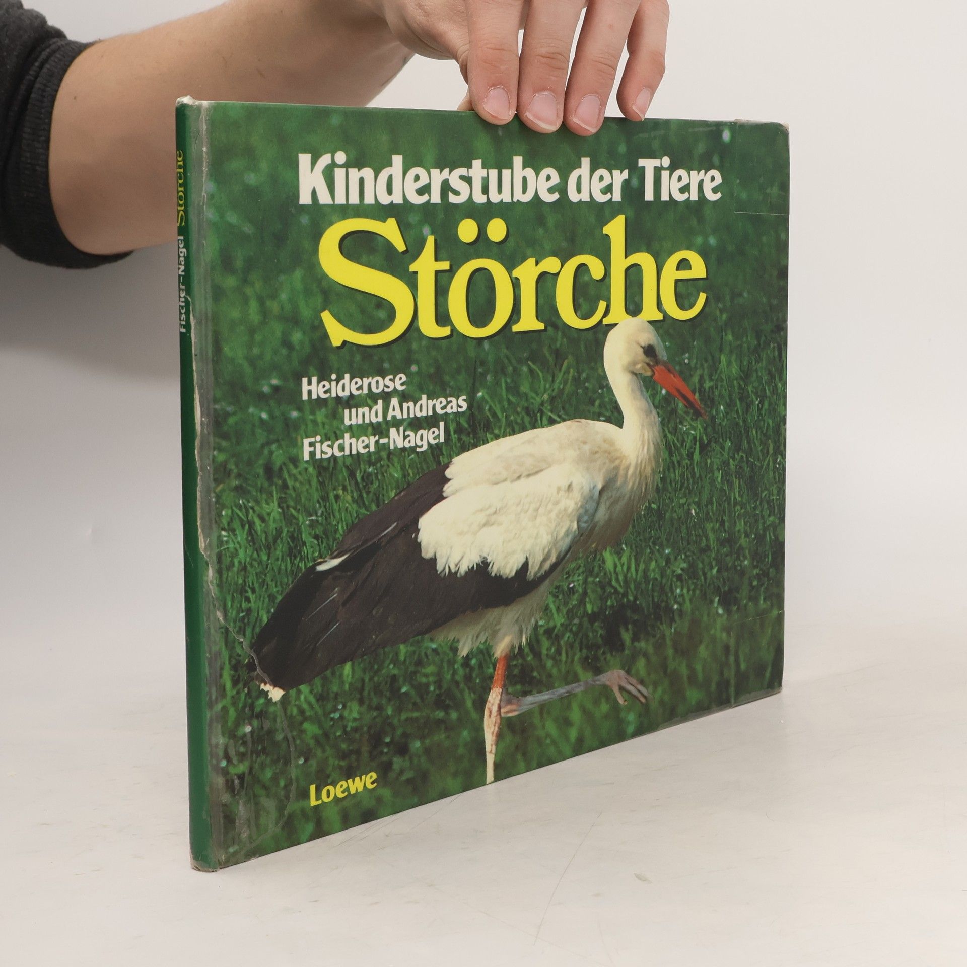 kolektiv Kinderstube der Tiere