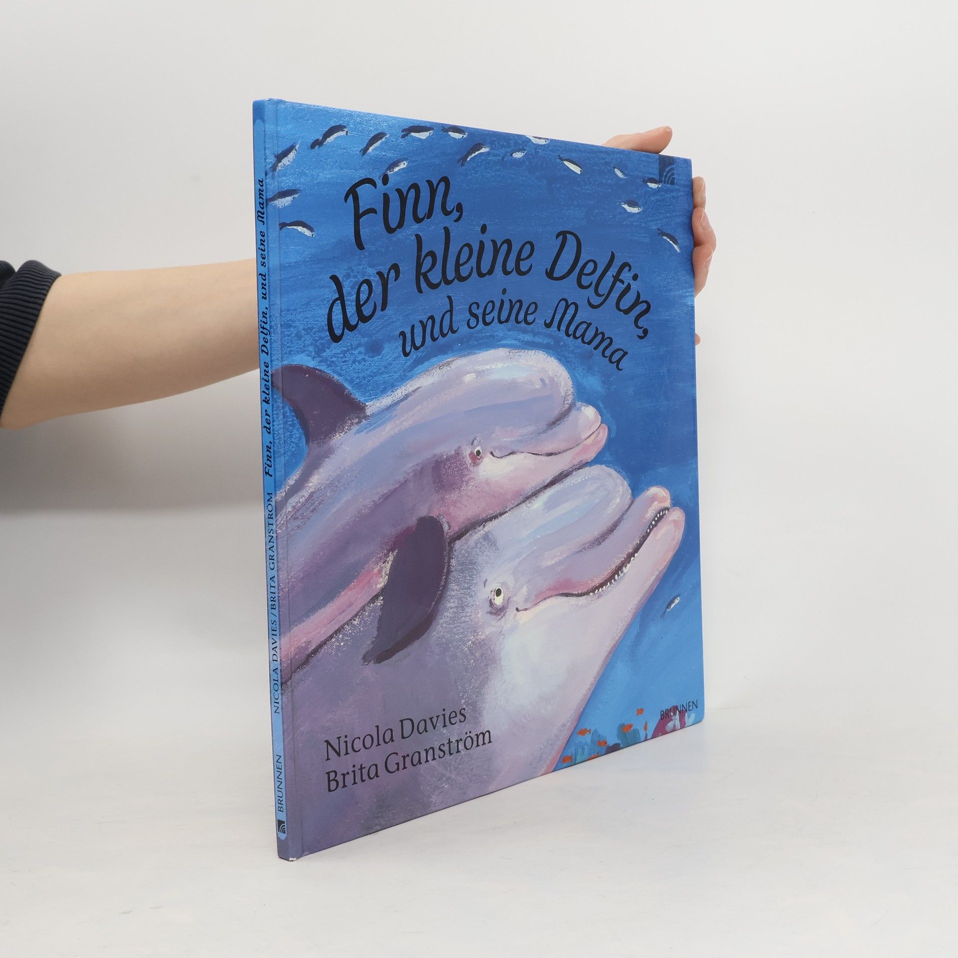 Nicola Davies Finn, der kleine Delfin und seine Mama