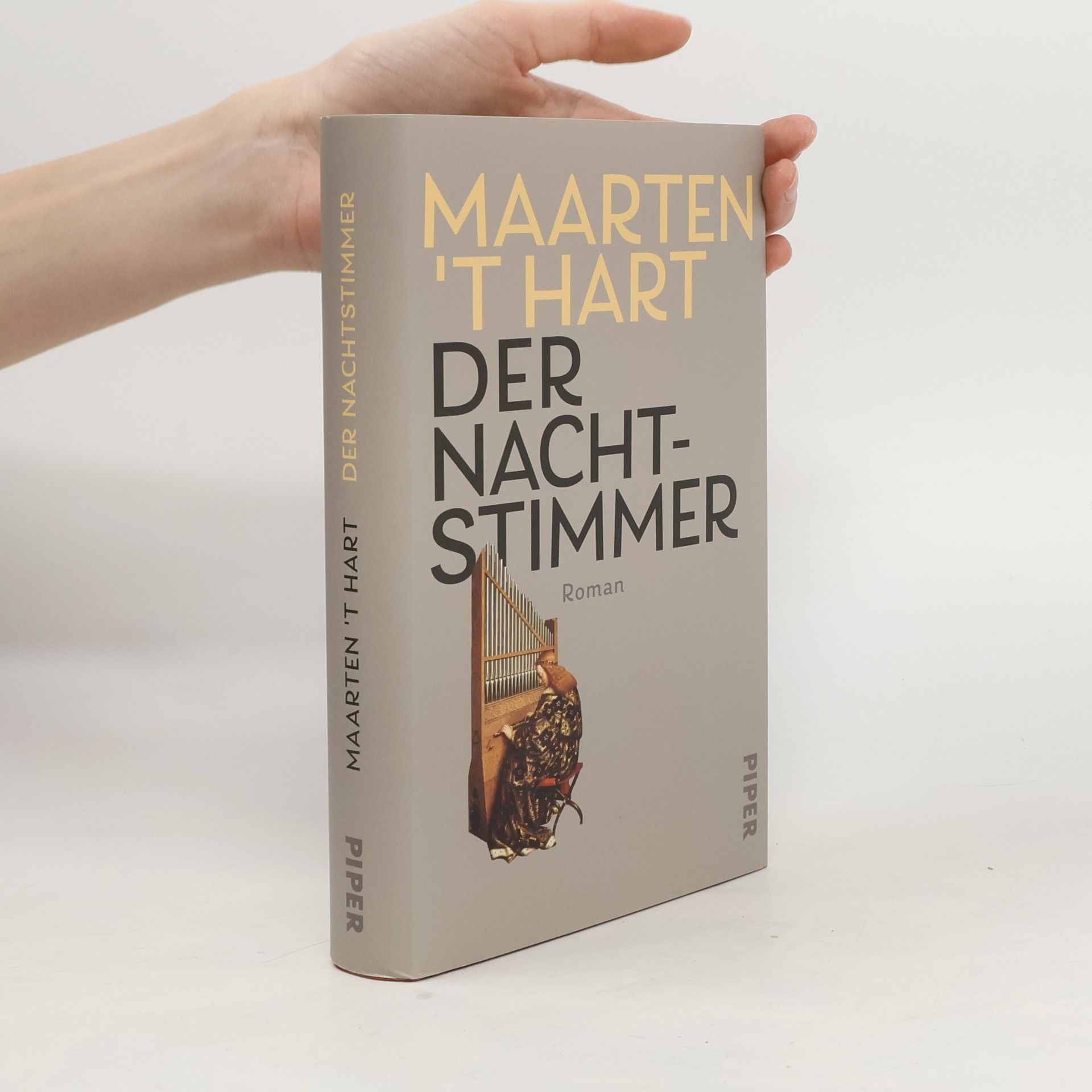 Maarten ’t Hart Der Nachtstimmer