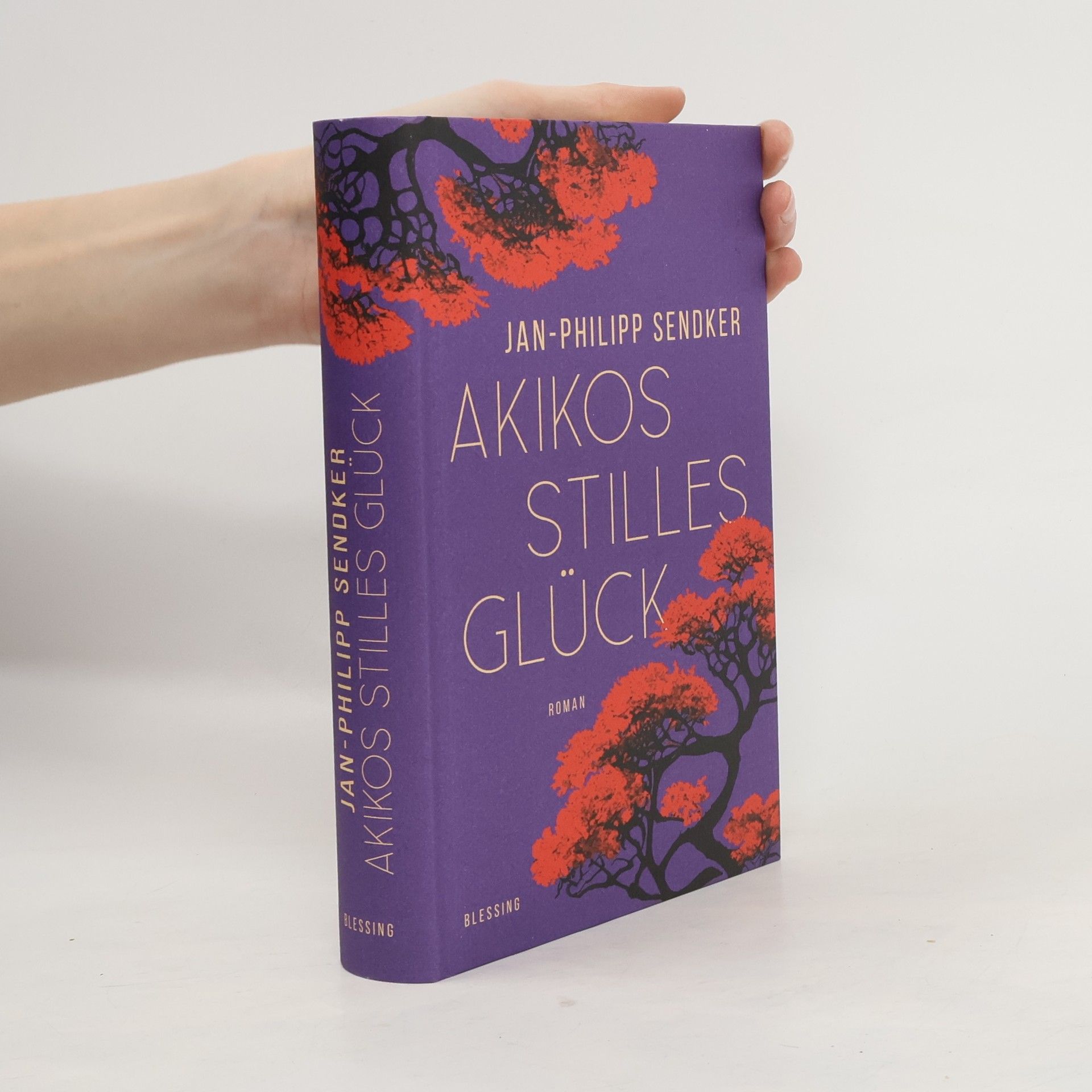 Jan-Philipp Sendker Akikos stilles Glück. Roman