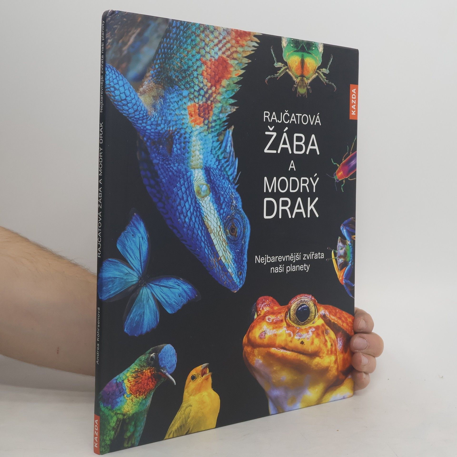 Autores varios Rajčatová žába a modrý drak: nejbarevnější zvířata naší planety
