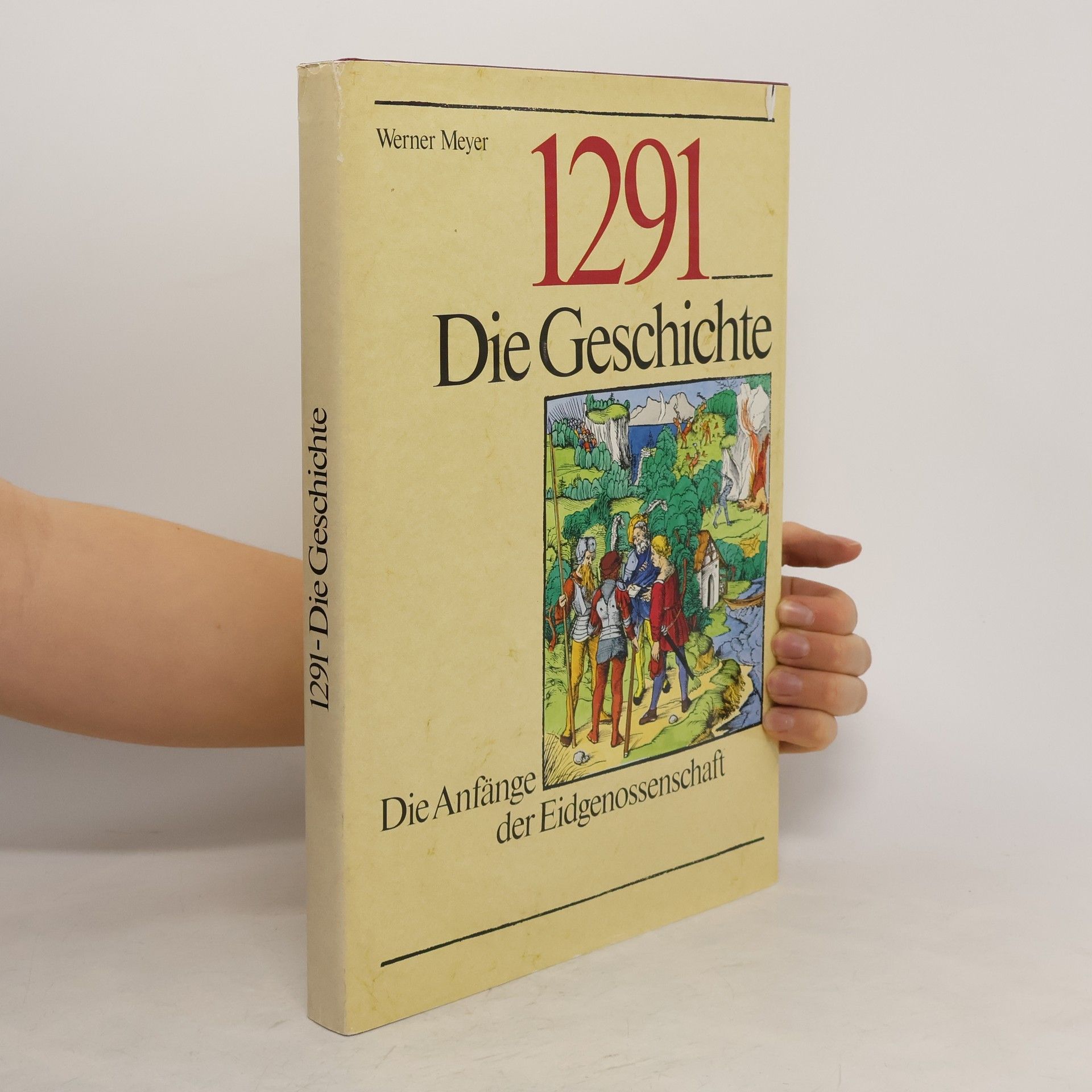 Werner Meyer 1291 - Die Geschichte