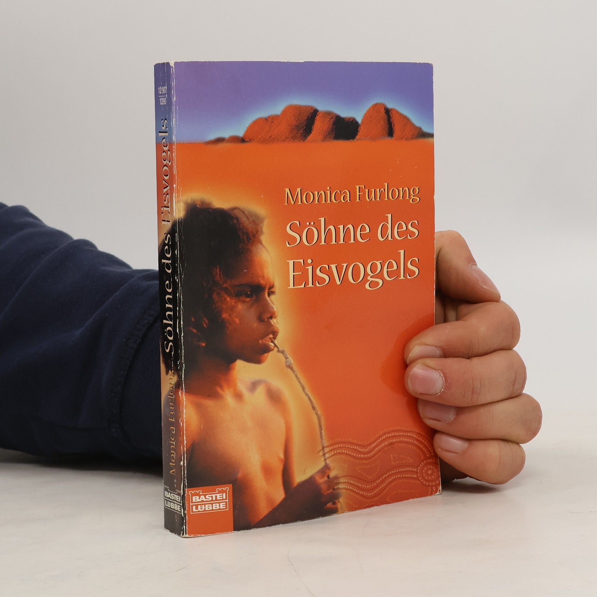 Monica Furlong Söhne des Eisvogels
