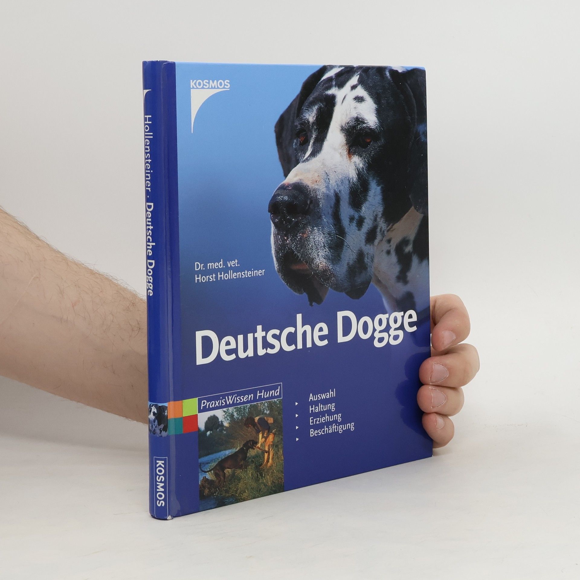 Horst Hollensteiner Deutsche Dogge