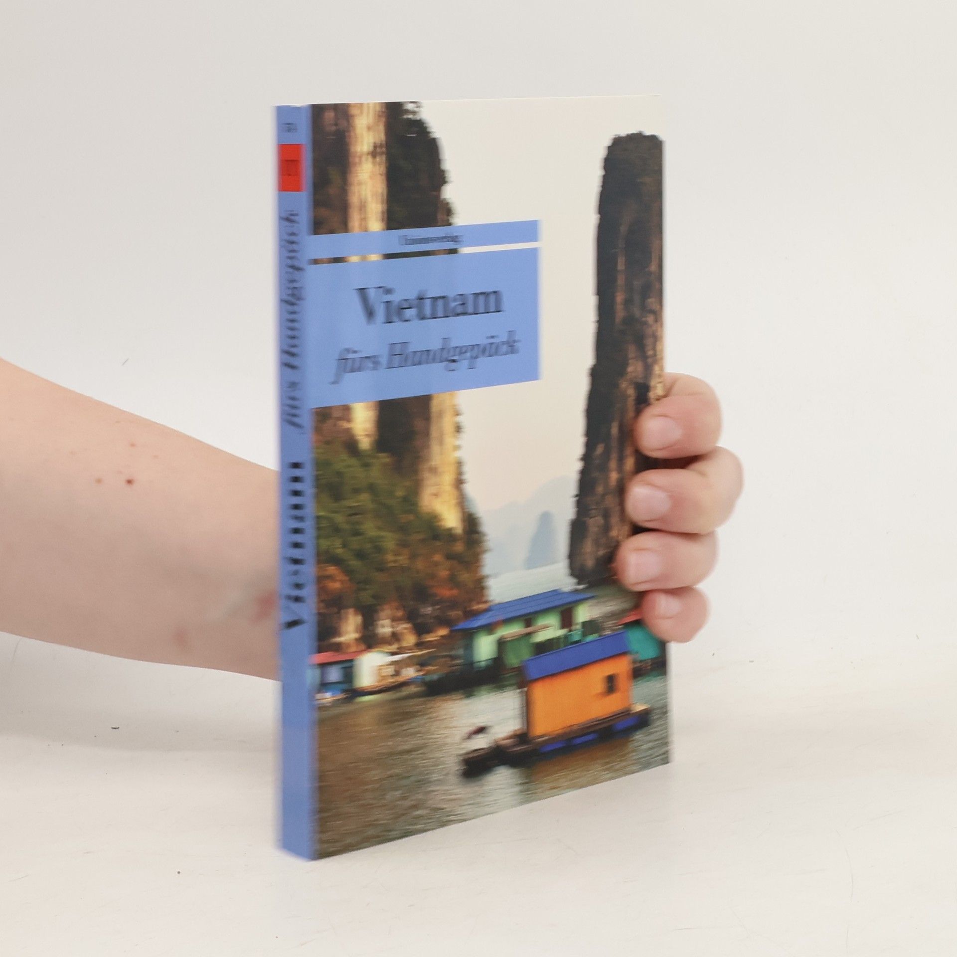 Alice Grünfelder Vietnam fürs Handgepäck