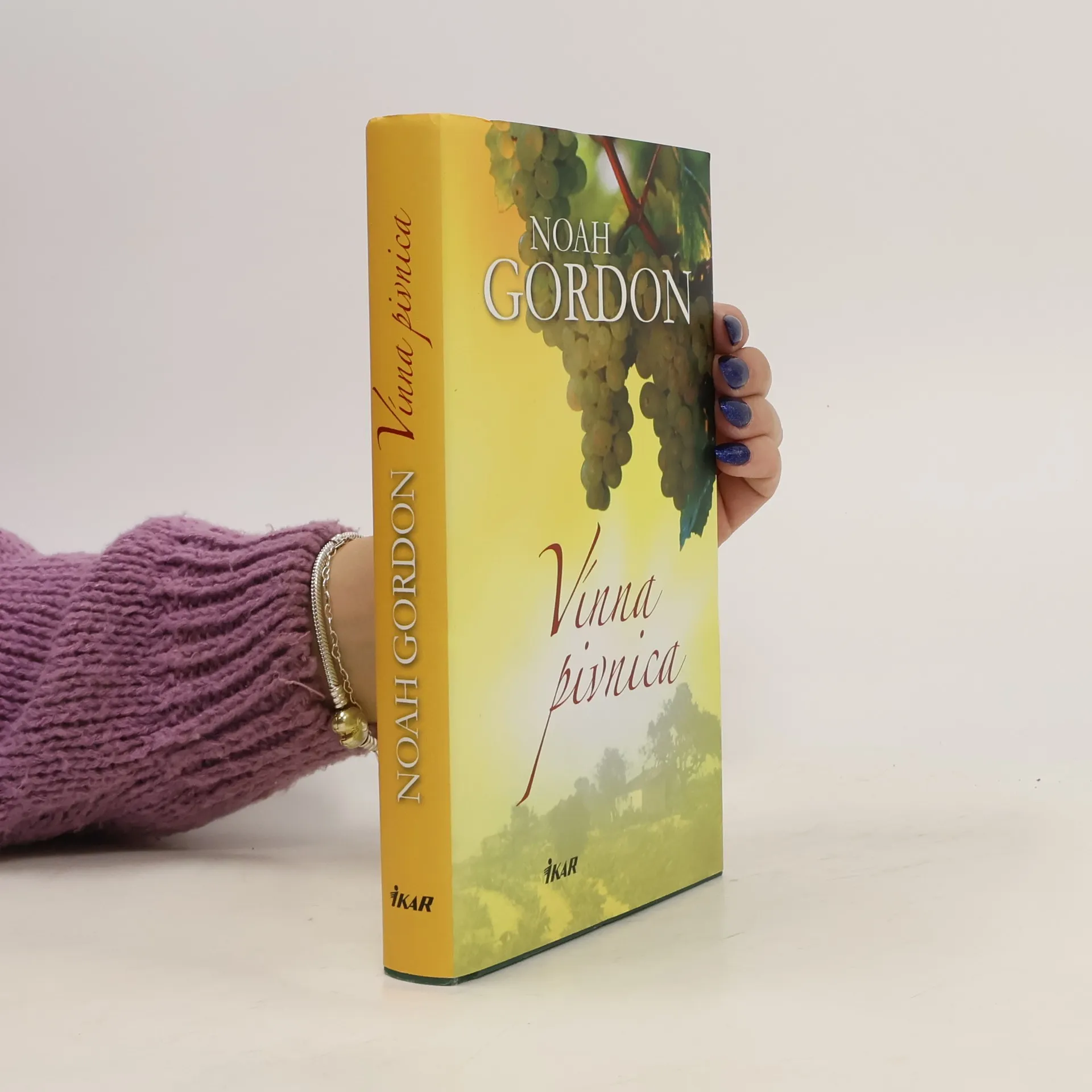 Vínna pivnica | Book | Hardcover | Noah Gordon | SK