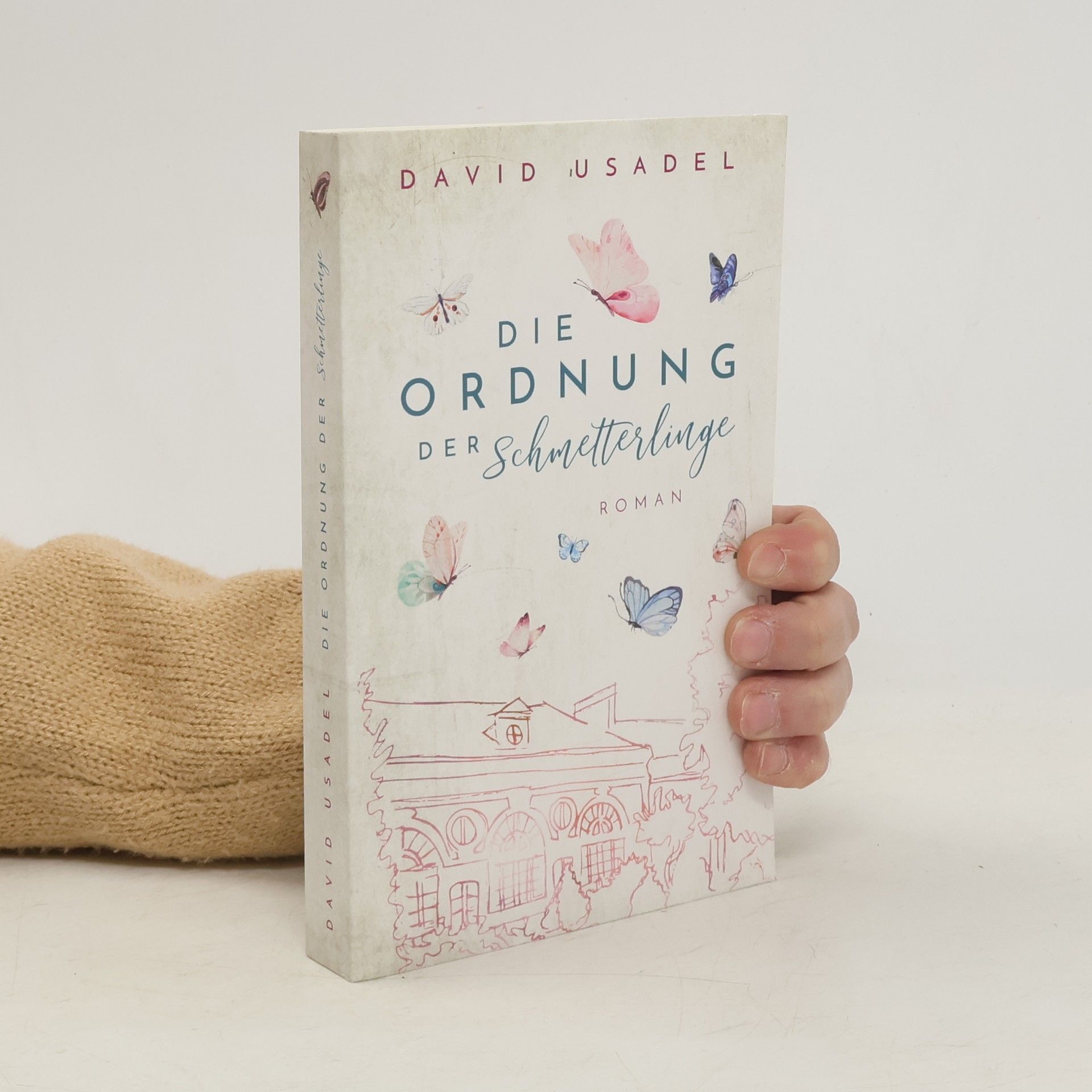 David Usadel Die Ordnung der Schmetterlinge