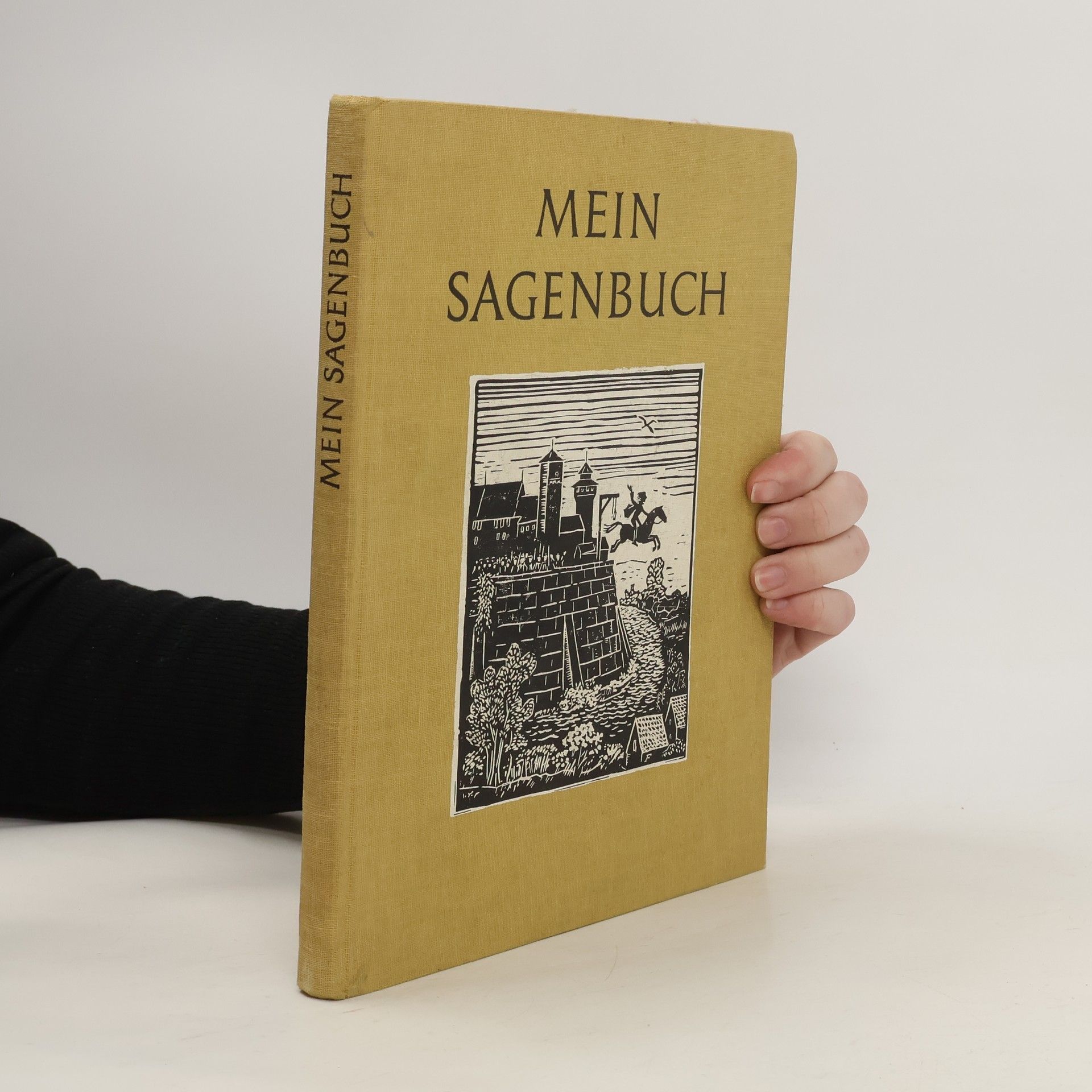 Hermann Leiderer Mein Sagenbuch