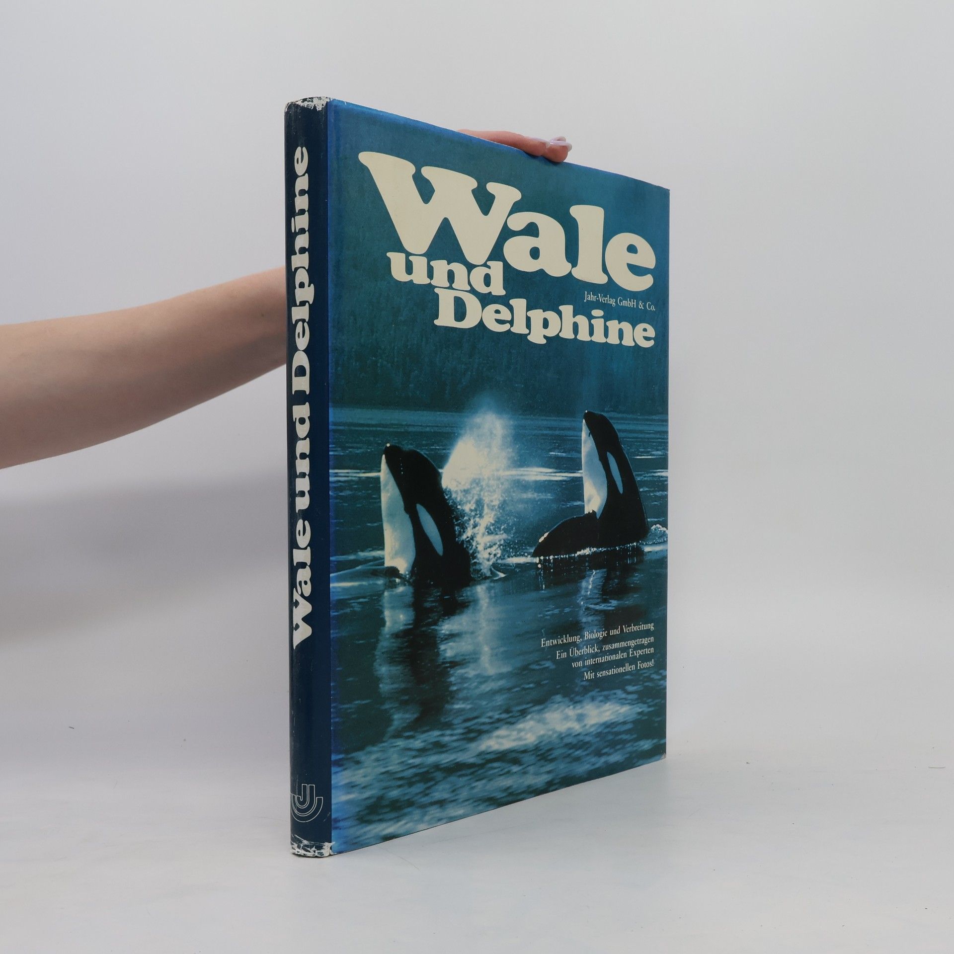 Jo rg Keller Wale und Delphine