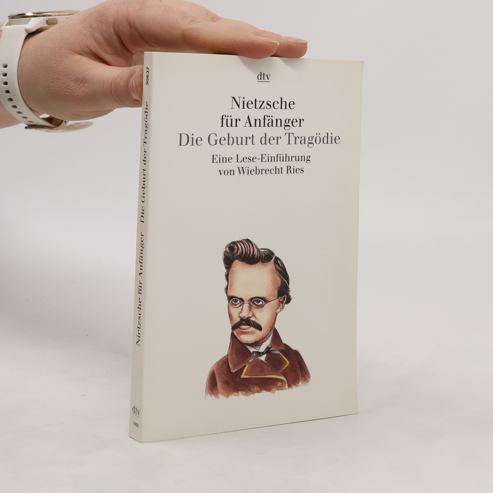 Wiebrecht Ries Nietzsche für Anfänger