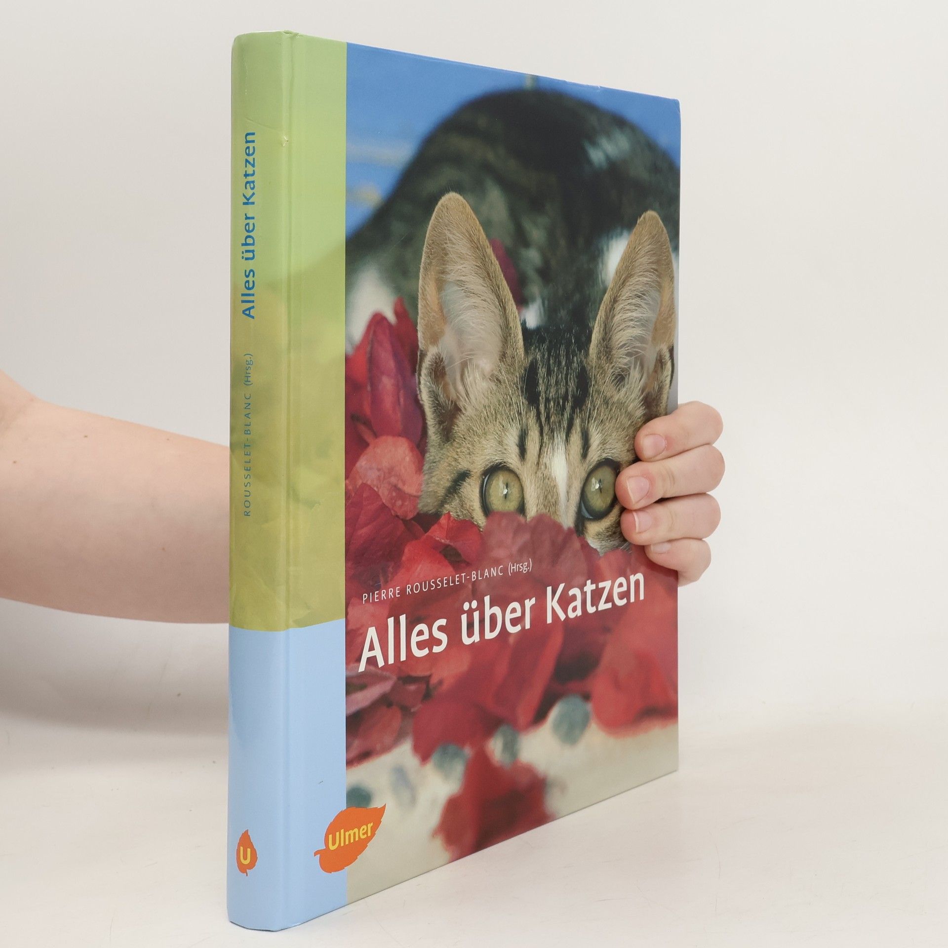 Alles über Katzen