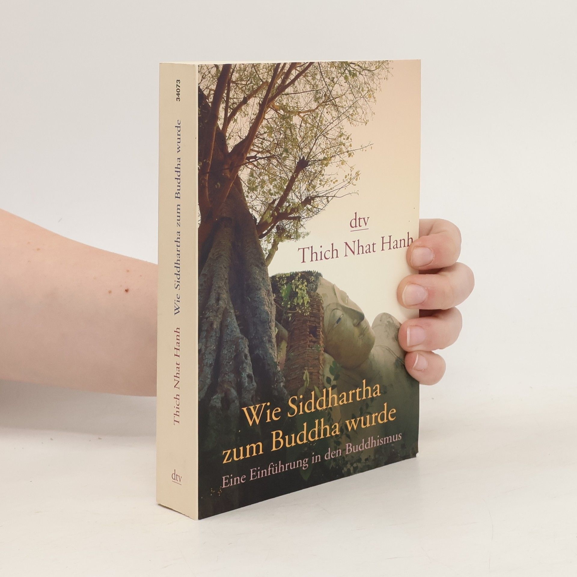 Thích Nhất Hạnh Wie Siddhartha zum Buddha wurde