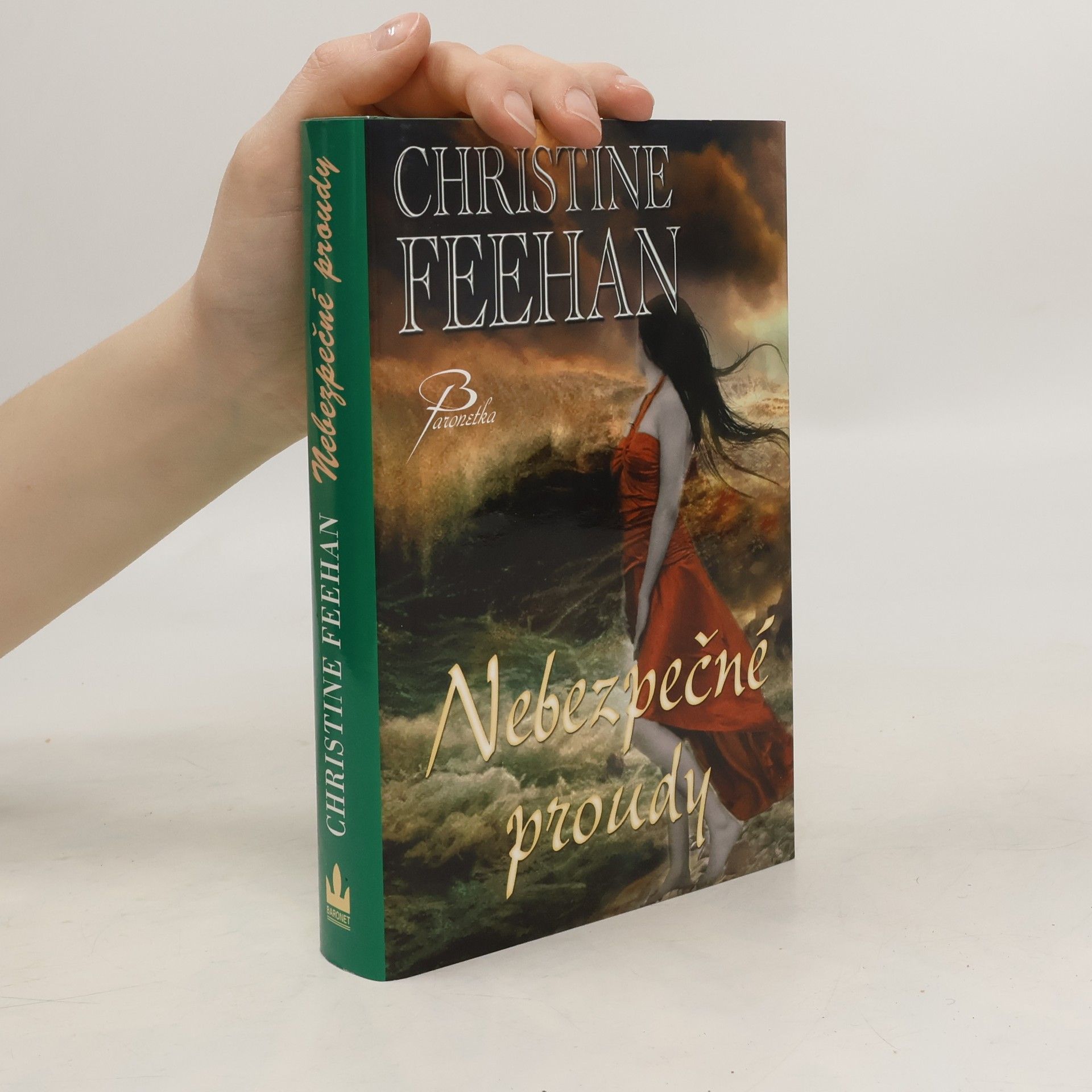 Christine Feehan Nebezpečné proudy