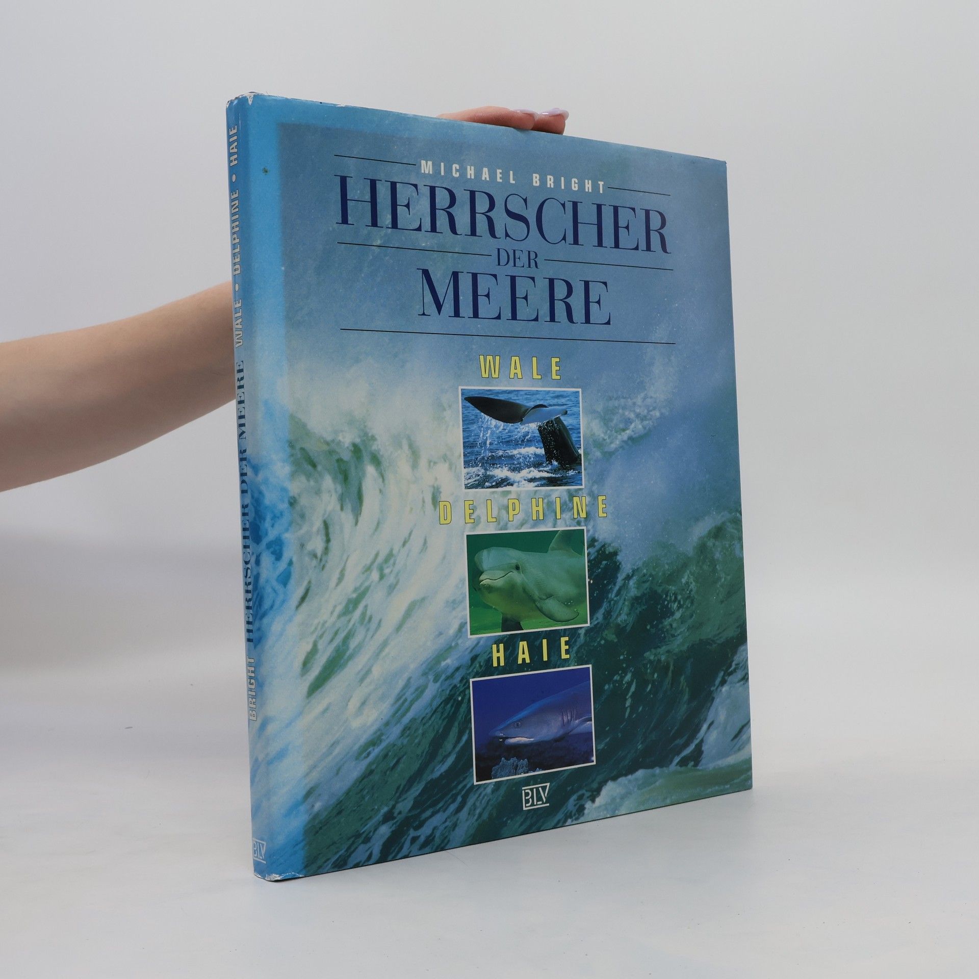 Michael Bright Herrscher der Meere