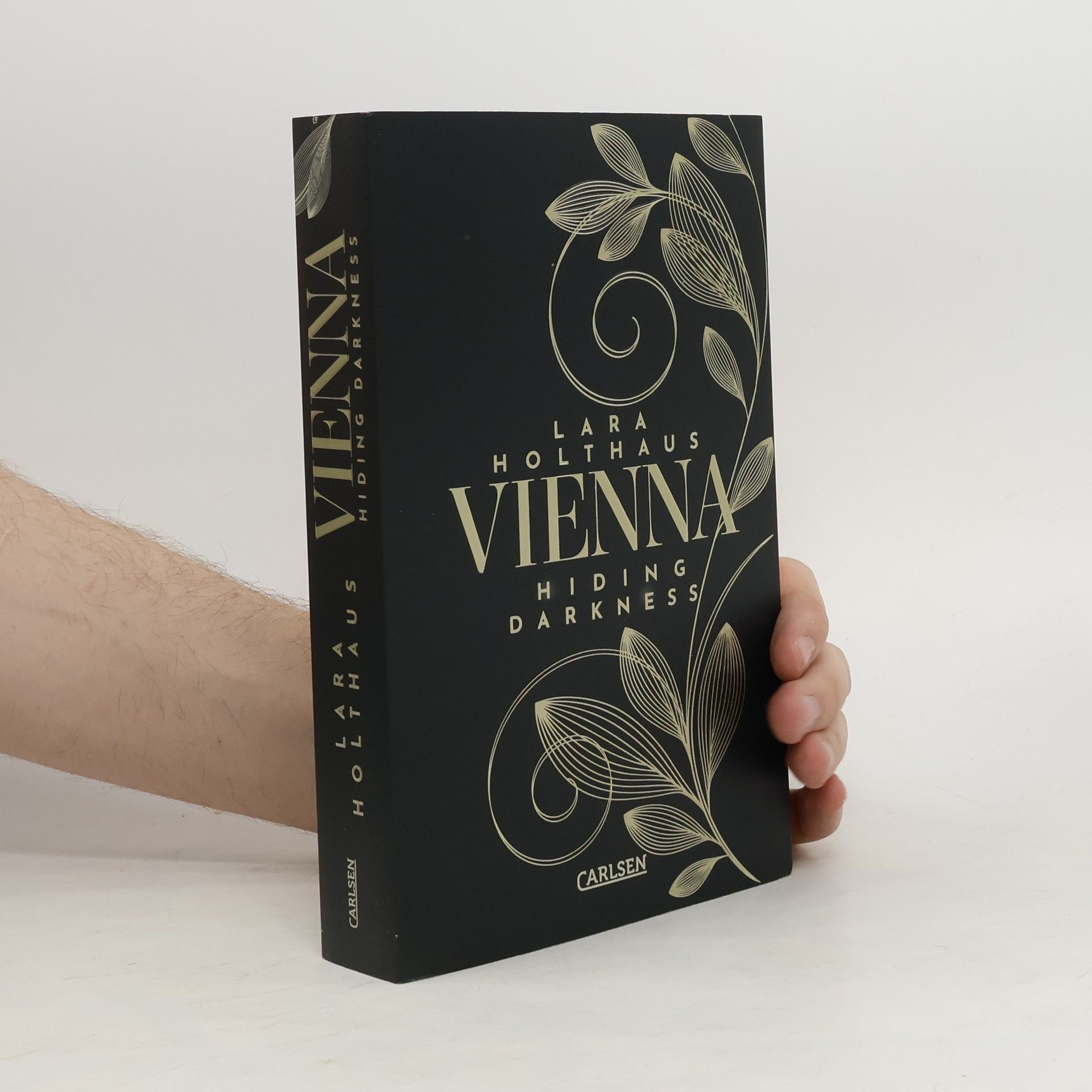 Lara Holthaus Hiding Darkness / Vienna Bd.2