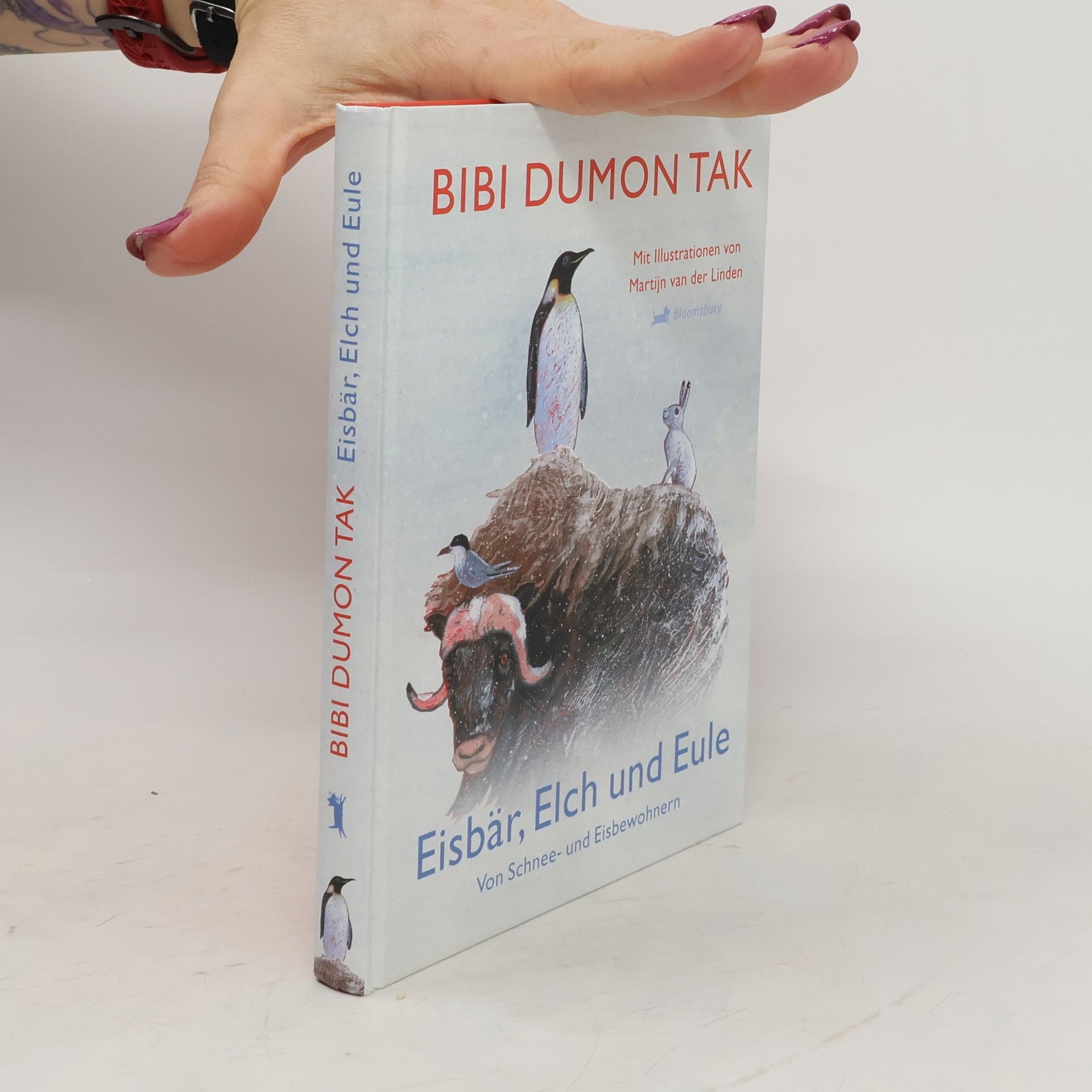 Bibi Dumon Tak Eisbär, Elch & Eule