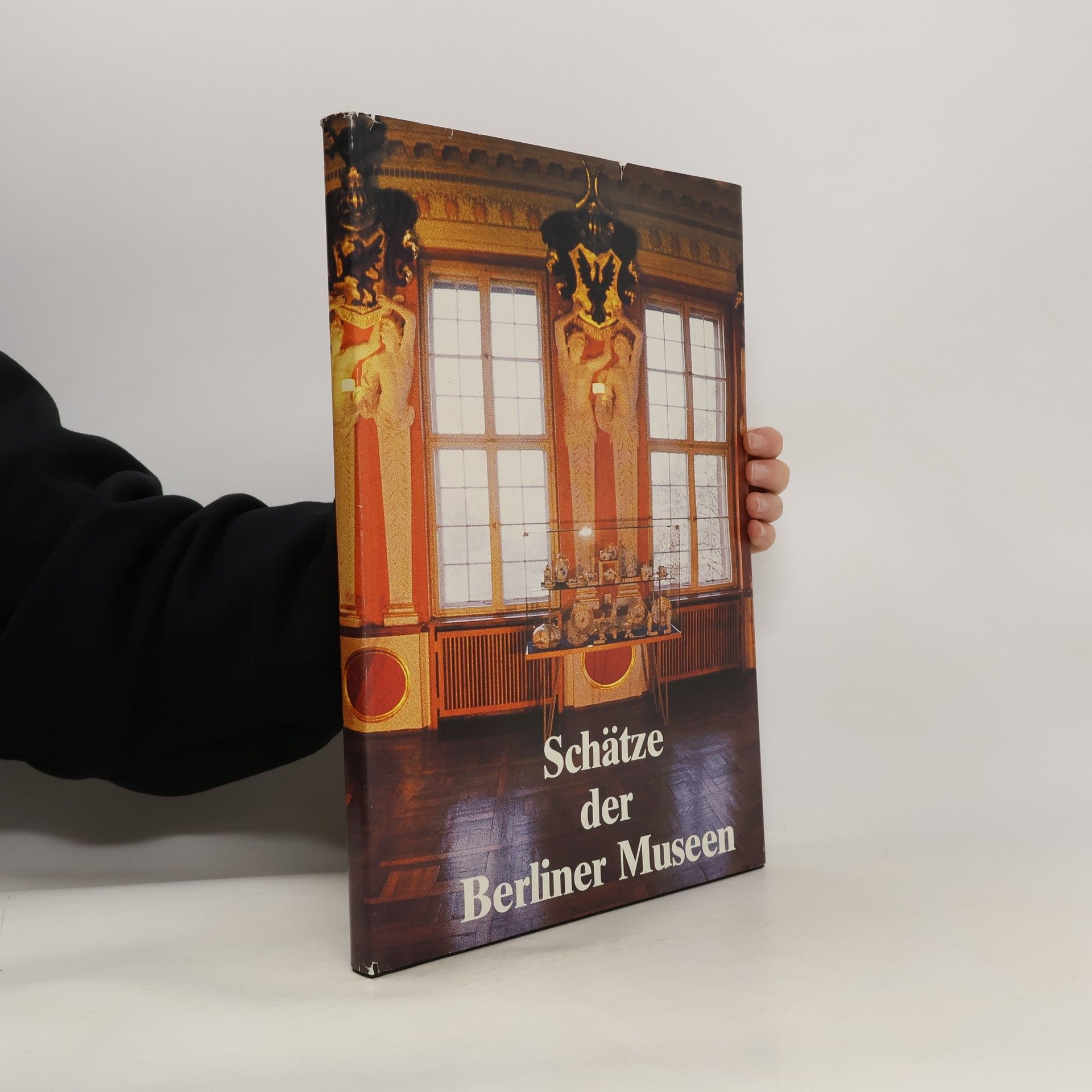 Kolektiv autorů Schätze der Berliner Museen