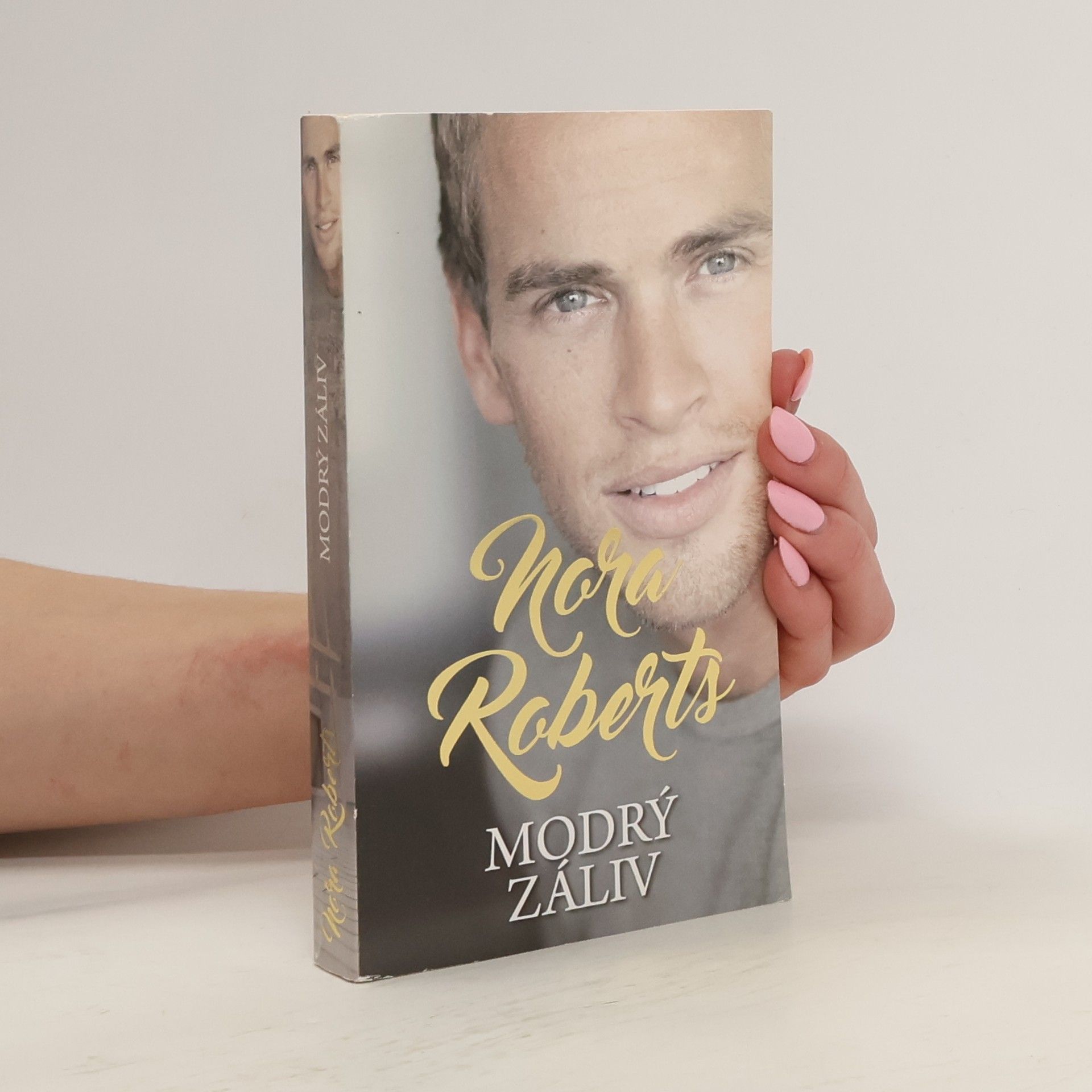 Nora Roberts Modrý záliv