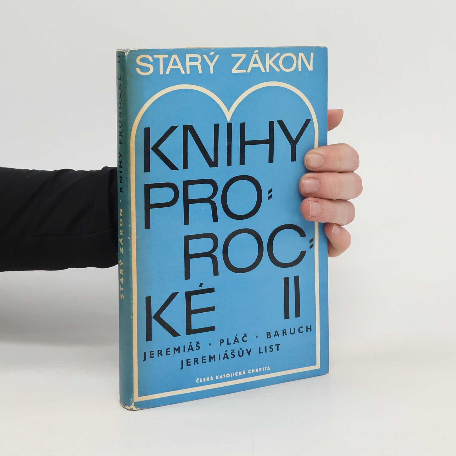 Autorenkollektiv Starý zákon. Knihy prorocké II