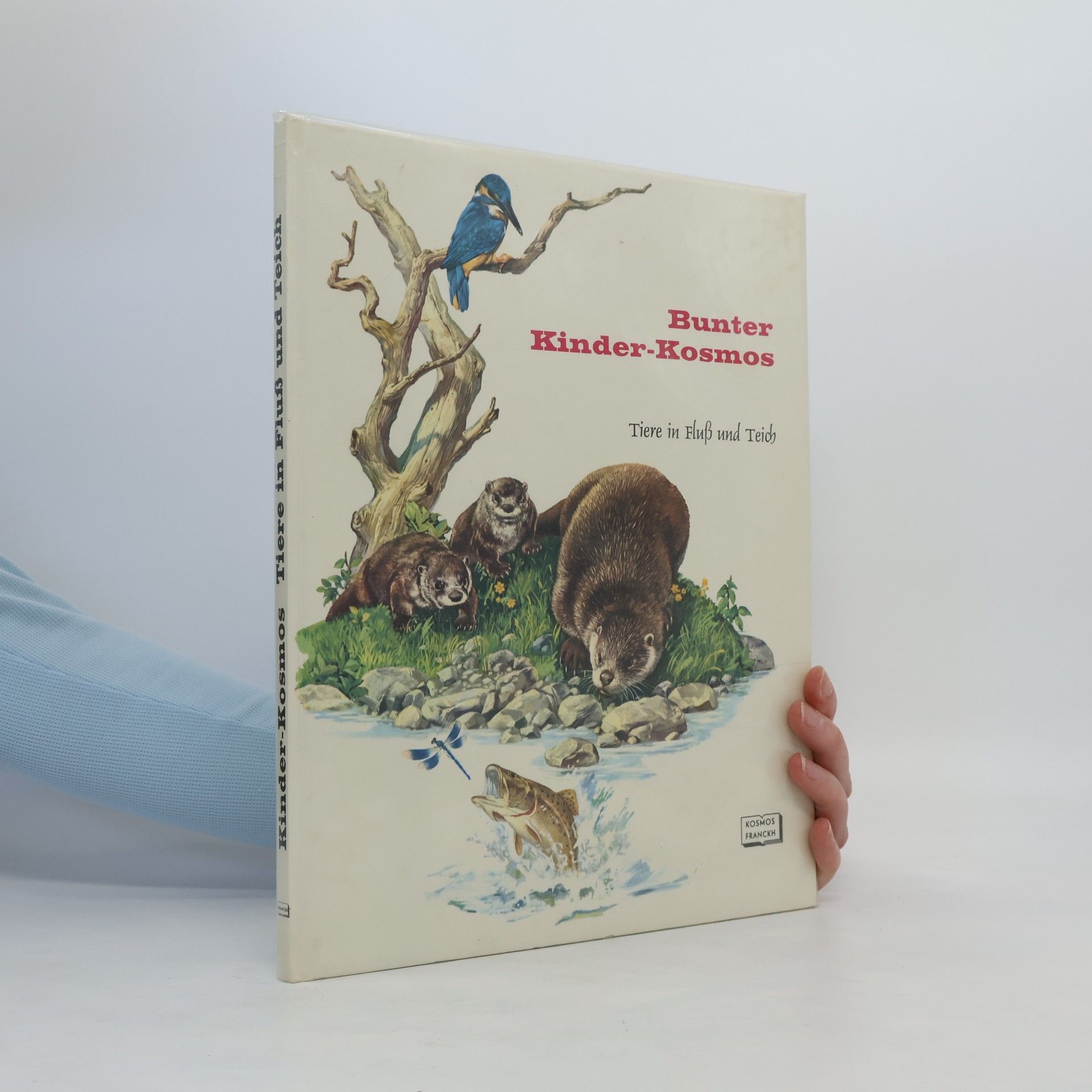 Autorenkollektiv Tiere in Fluss und Teich