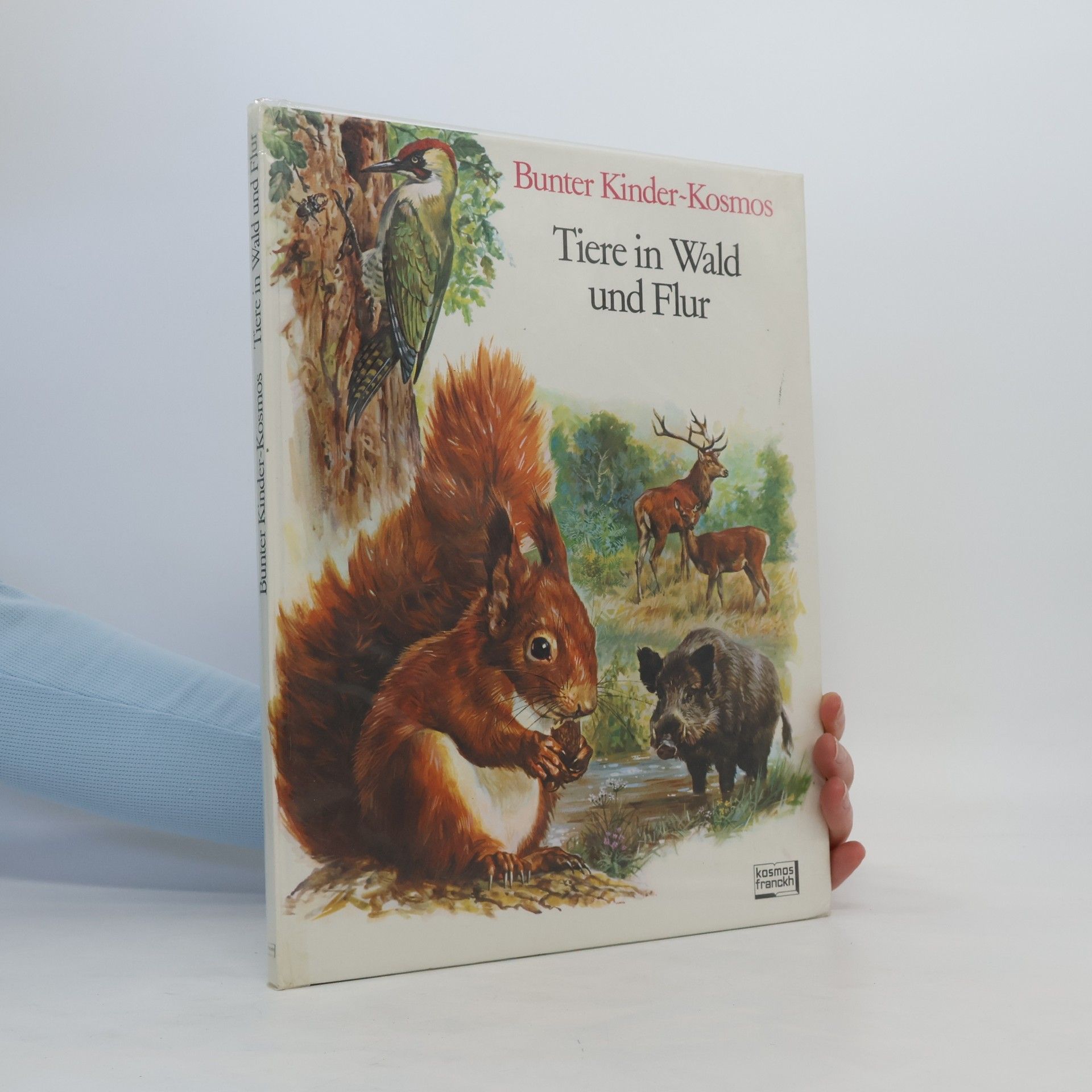 Rinaldo D. D'Ami Tiere in Wald und Flur