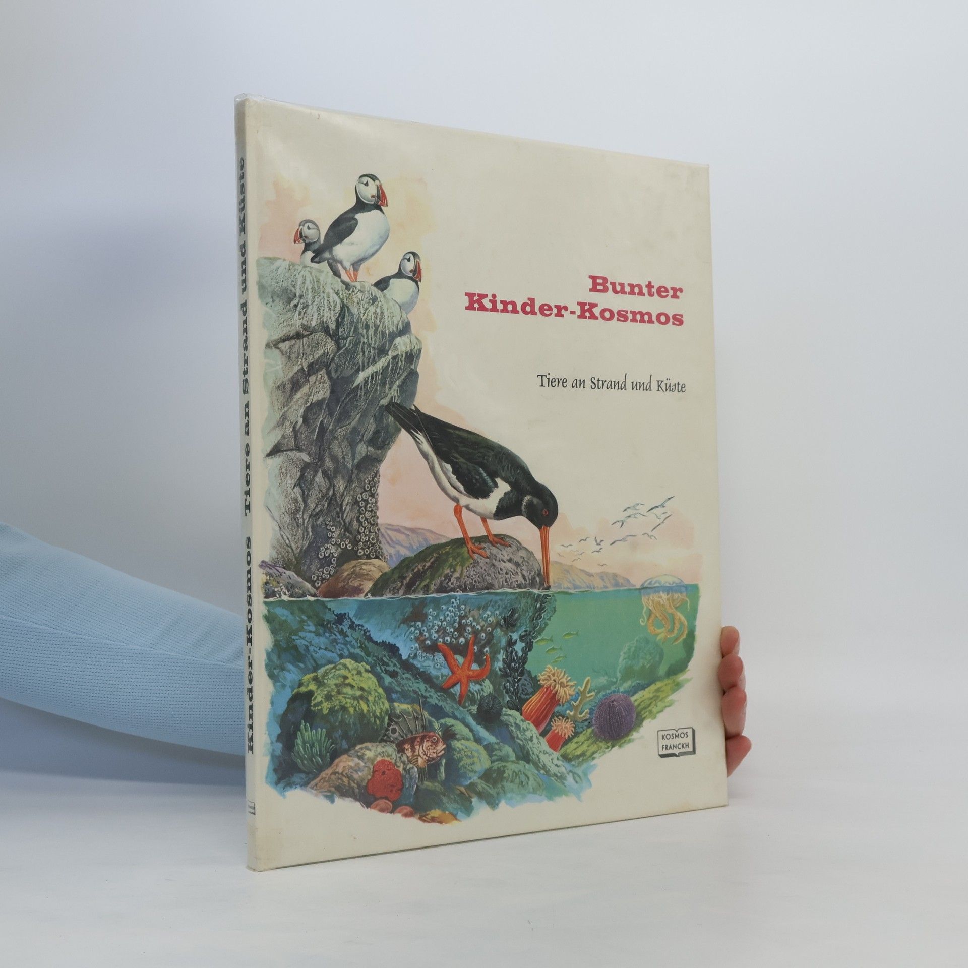 Rinaldo D. D'Ami Bunter Kinder-Kosmos. Tiere an Strand und Küste