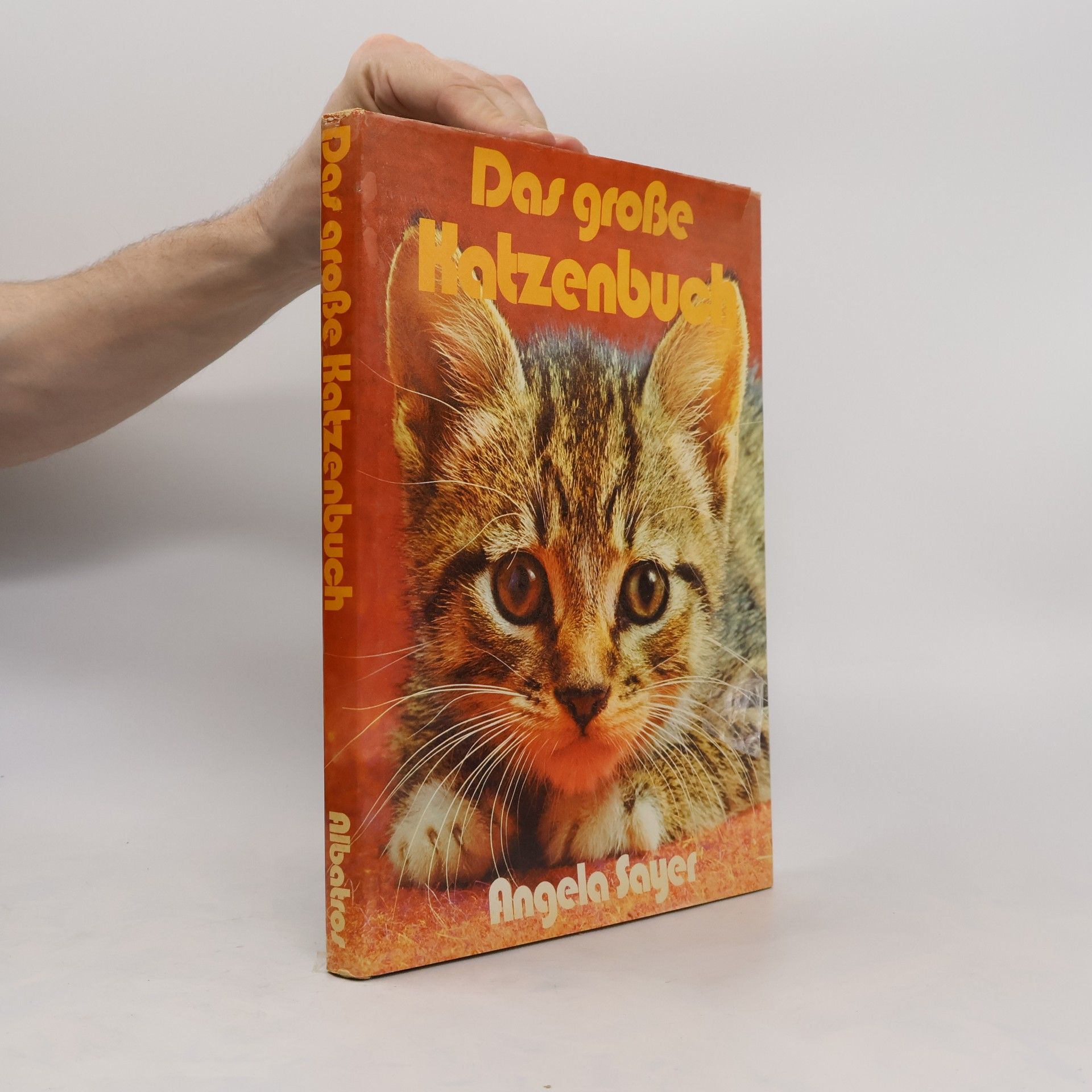 Angela Sayer Portrait of Cats