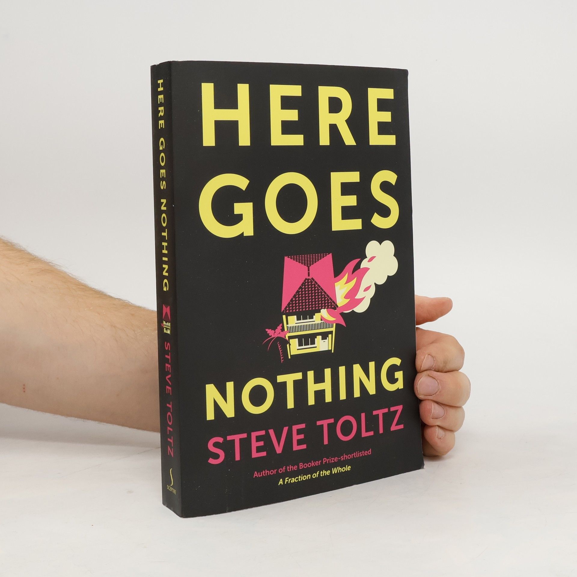 Steve Toltz Here Goes Nothing