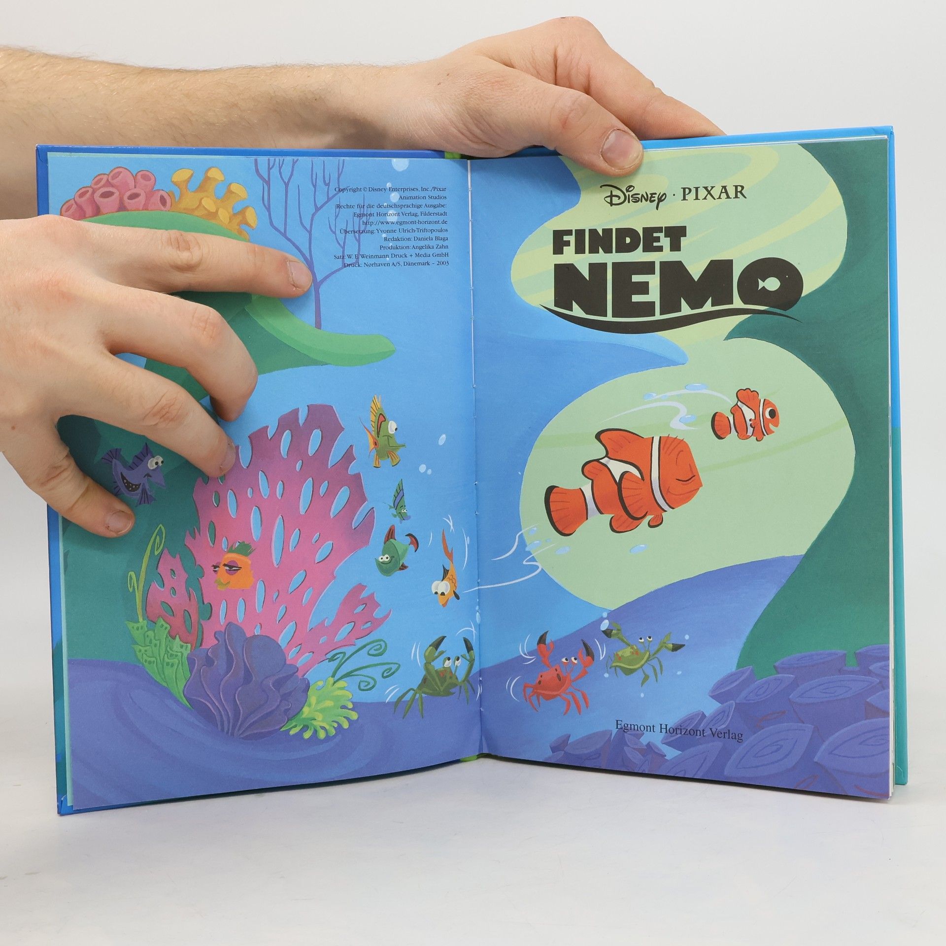 Autorenkollektiv Findet Nemo