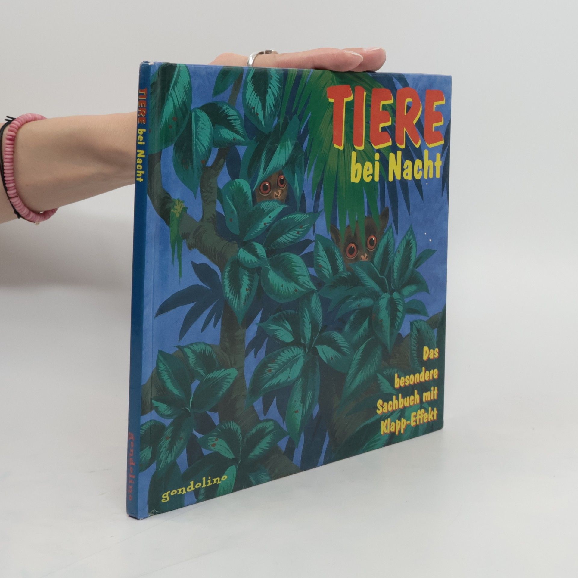 Wendy Madgwick Tiere bei Nacht