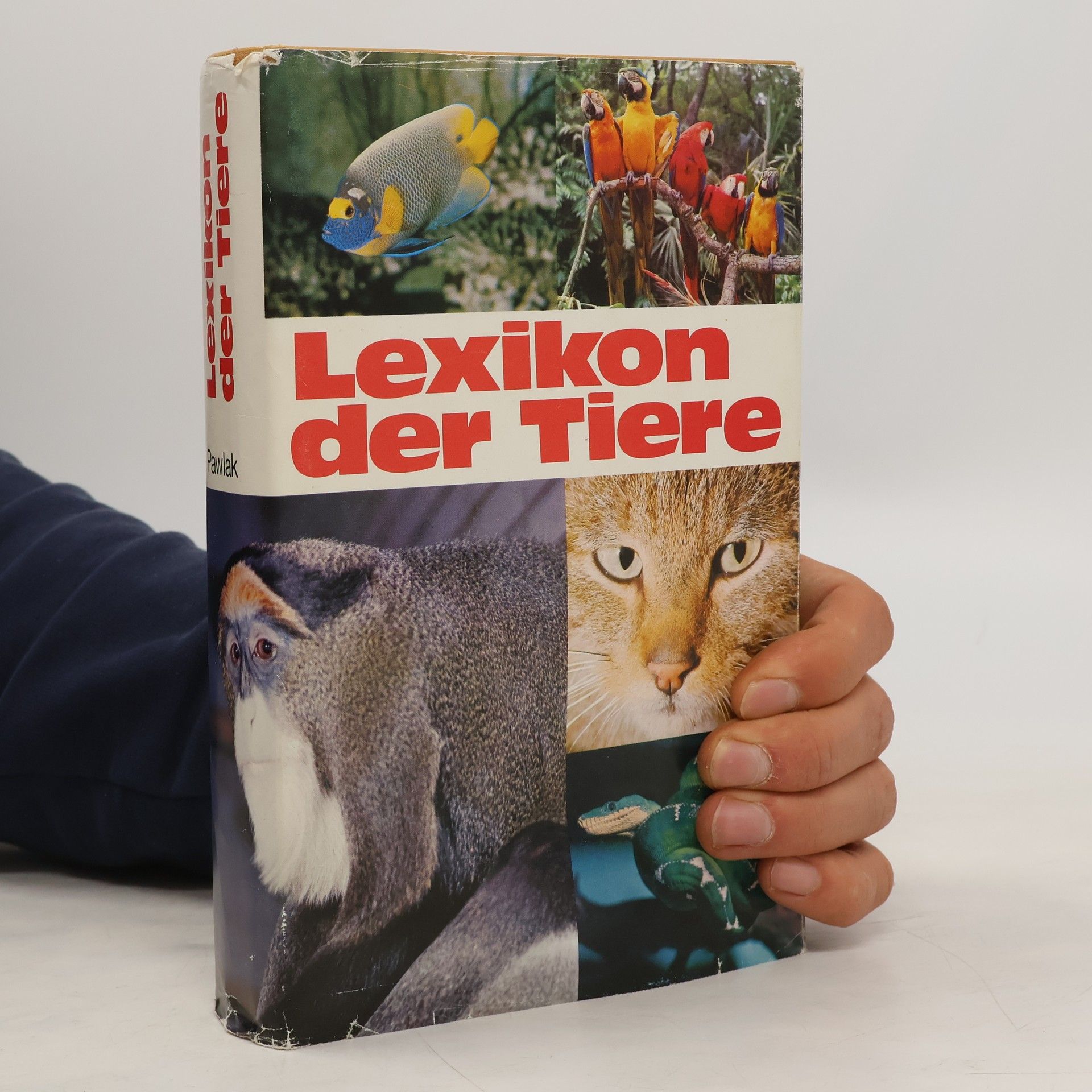 Autorenkollektiv Lexikon der Tiere