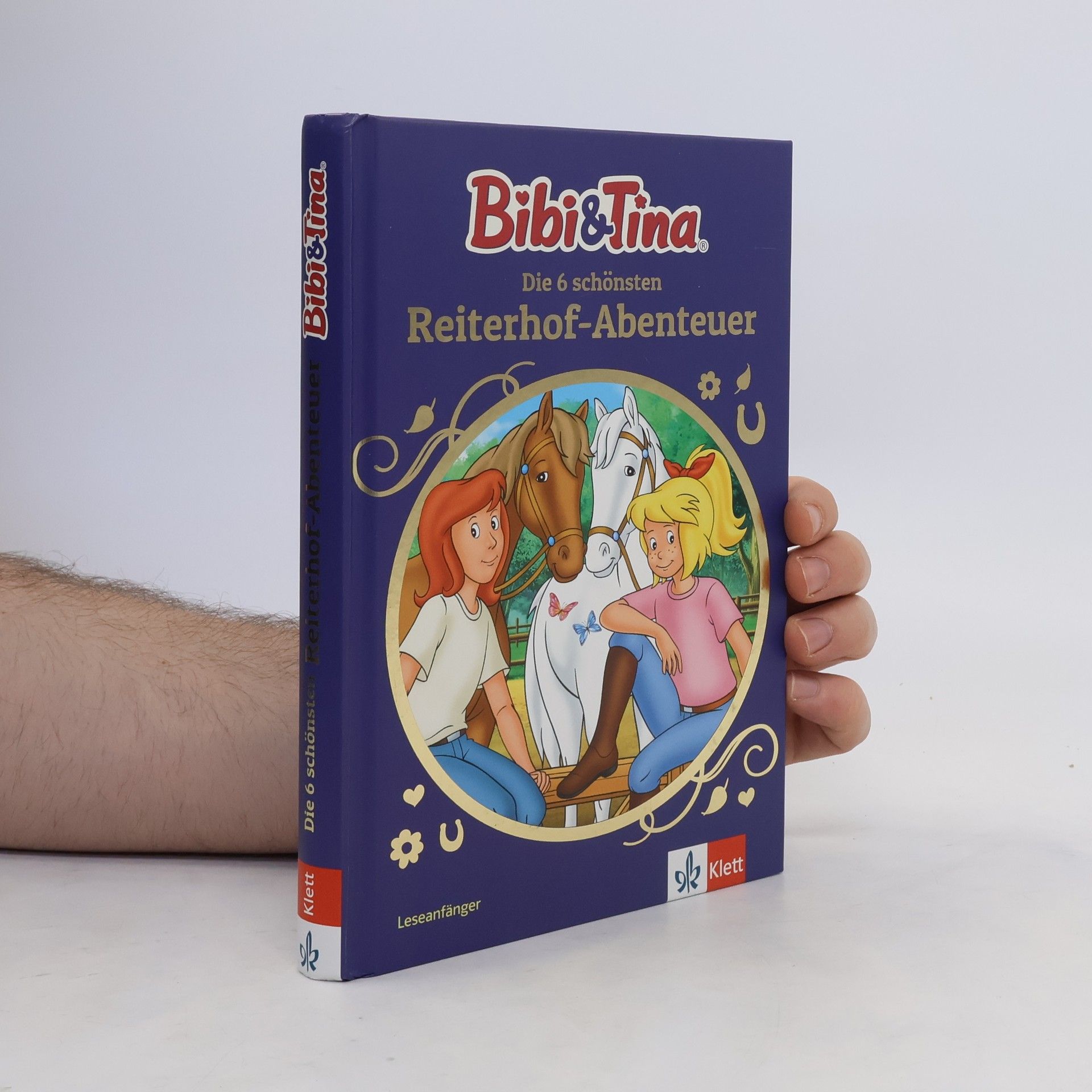 Rainer Wolke Bibi & Tina: Die 6 schönsten Reiterhof-Abenteuer