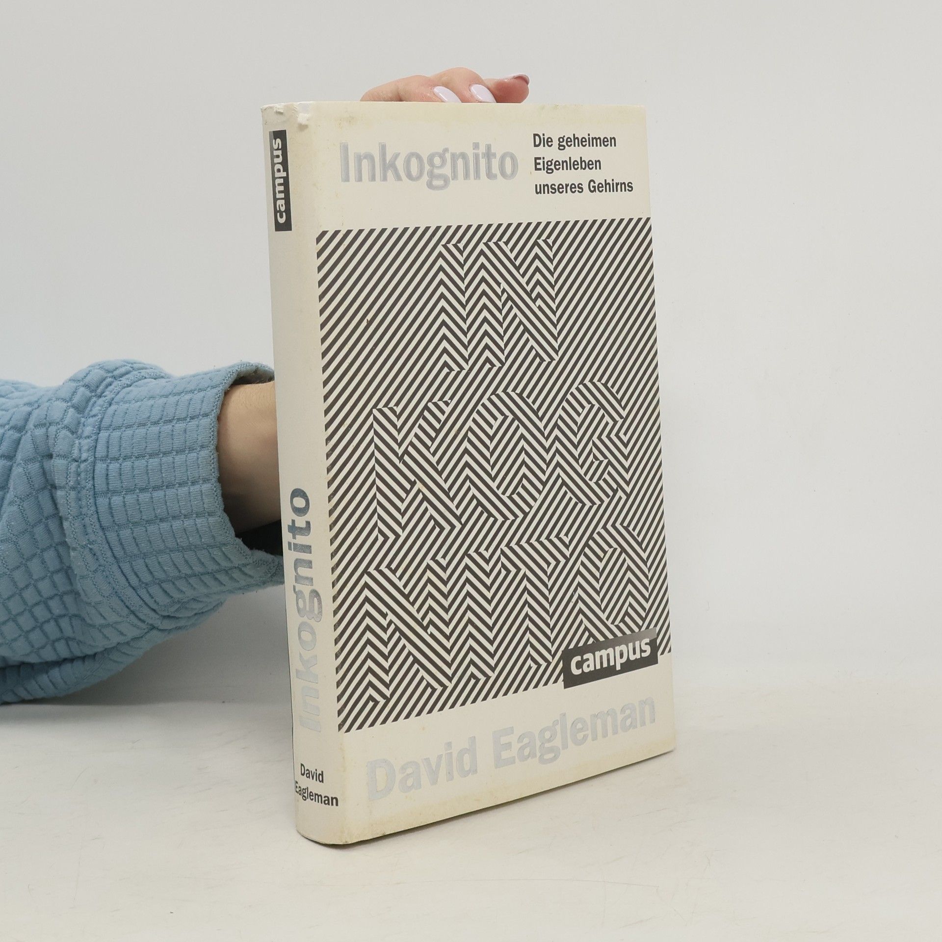 David Eagleman Inkognito