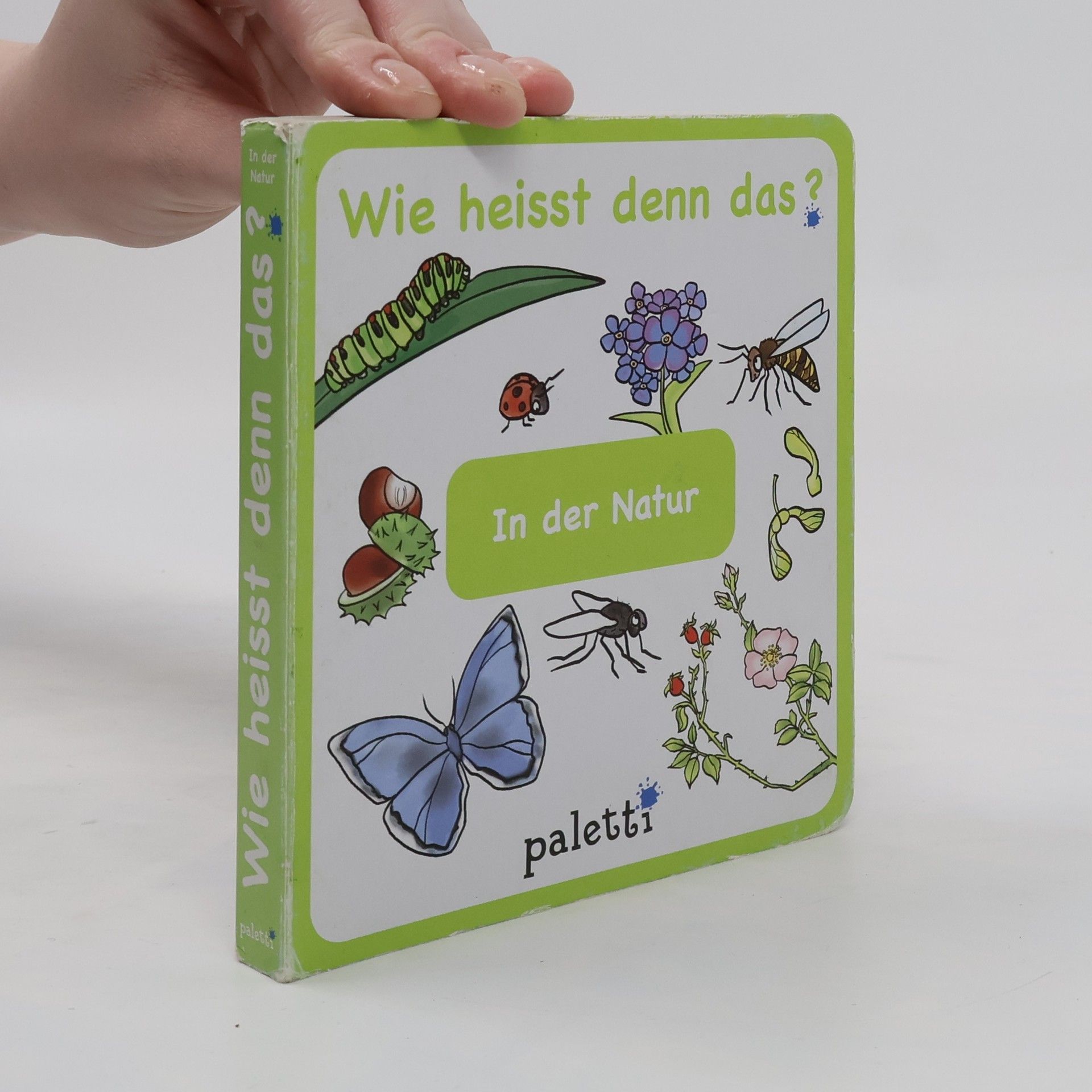kolektiv Wie heisst denn das?