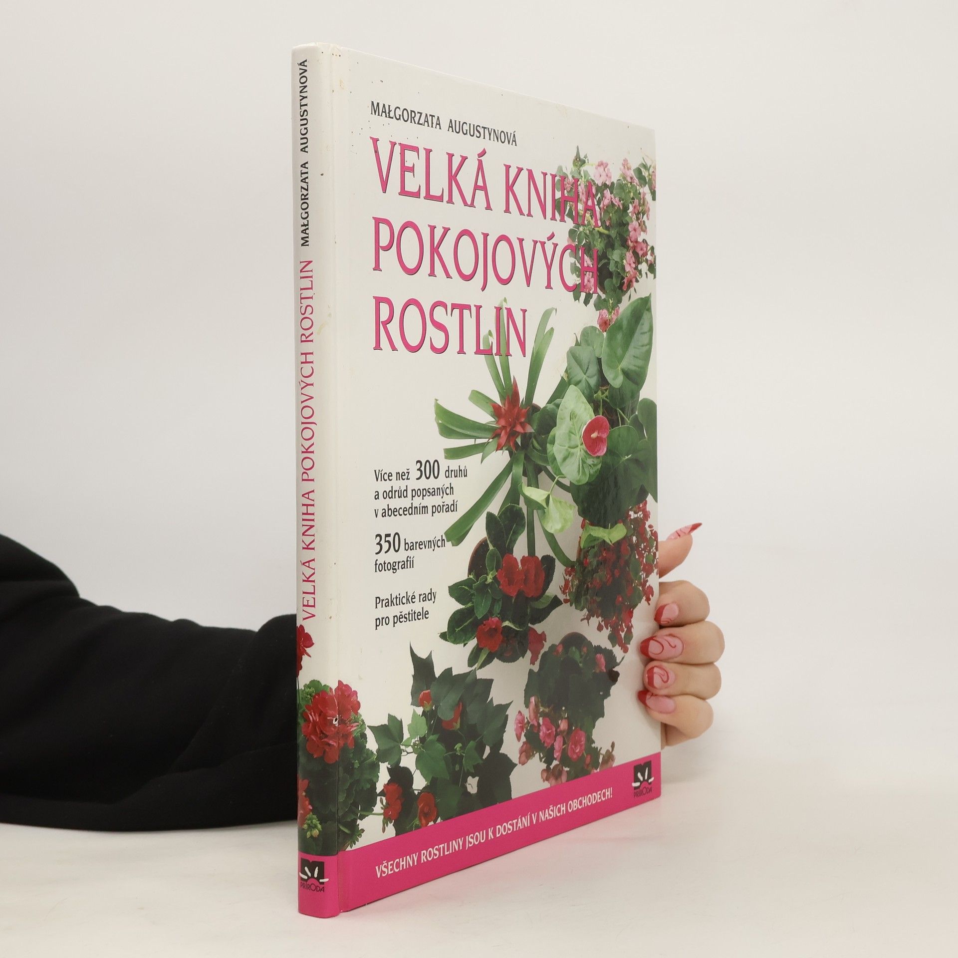Małgorzata Augustyn Velká kniha pokojových rostlin